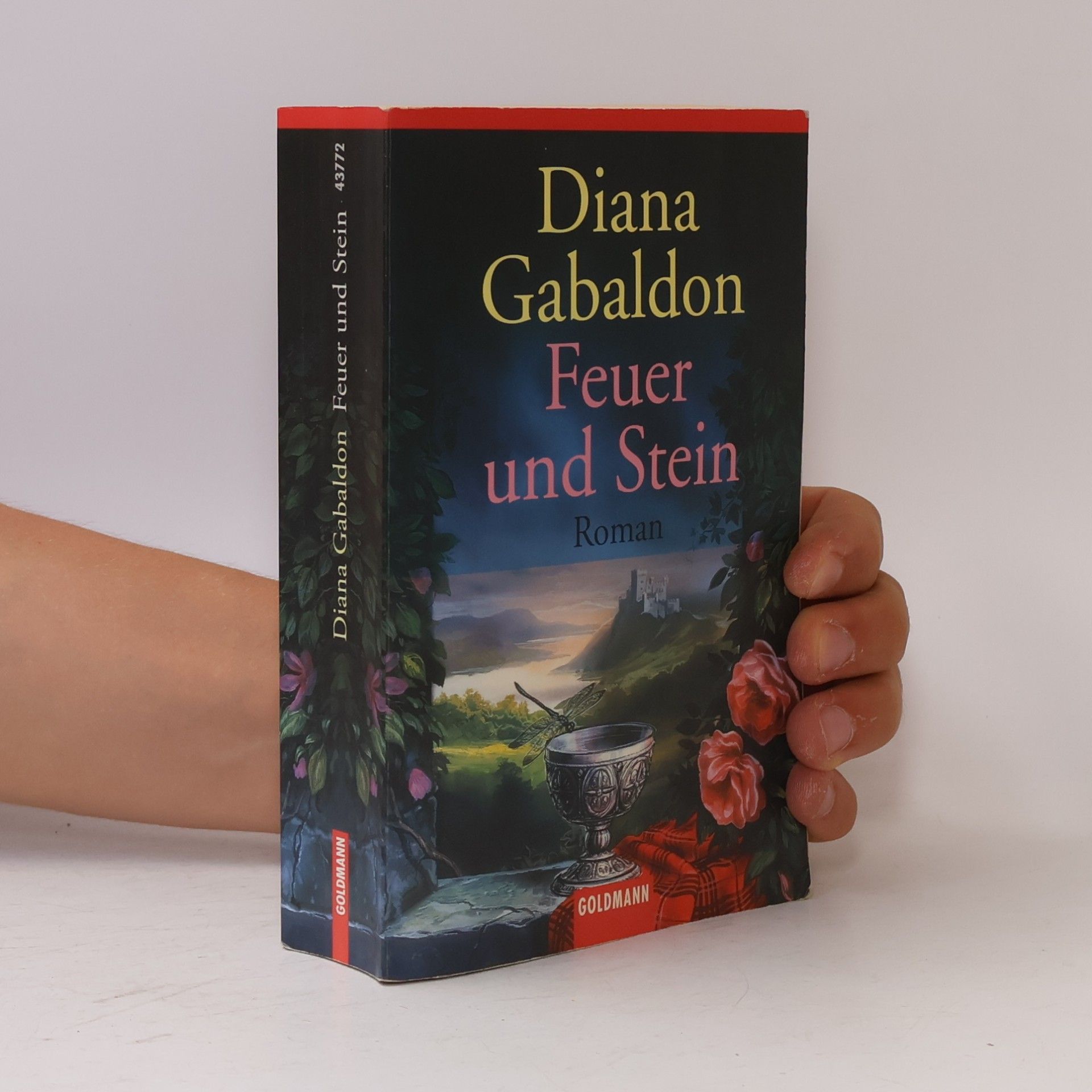 Diana Gabaldon Feuer und Stein