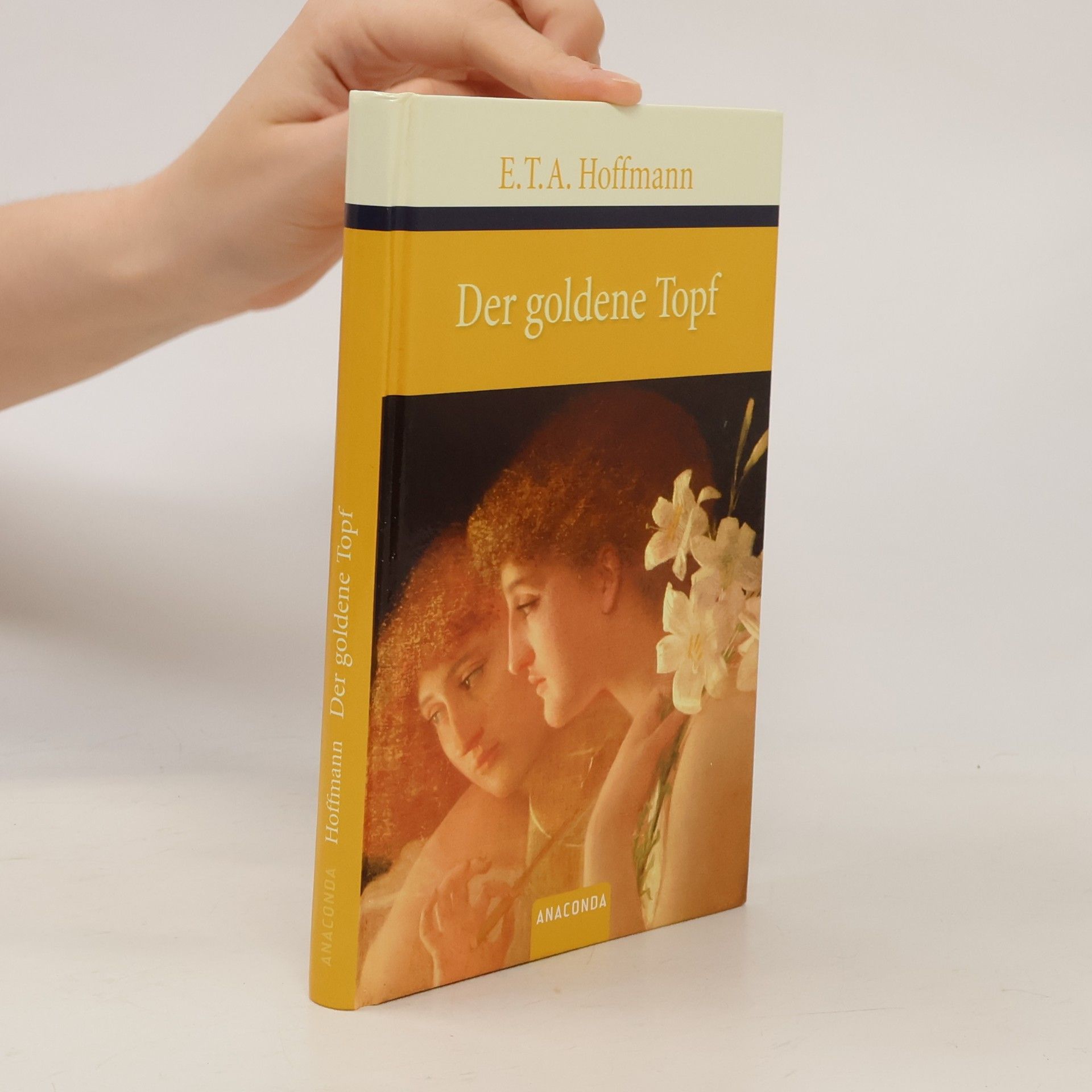 E. T. A. Hoffmann Der goldene Topf
