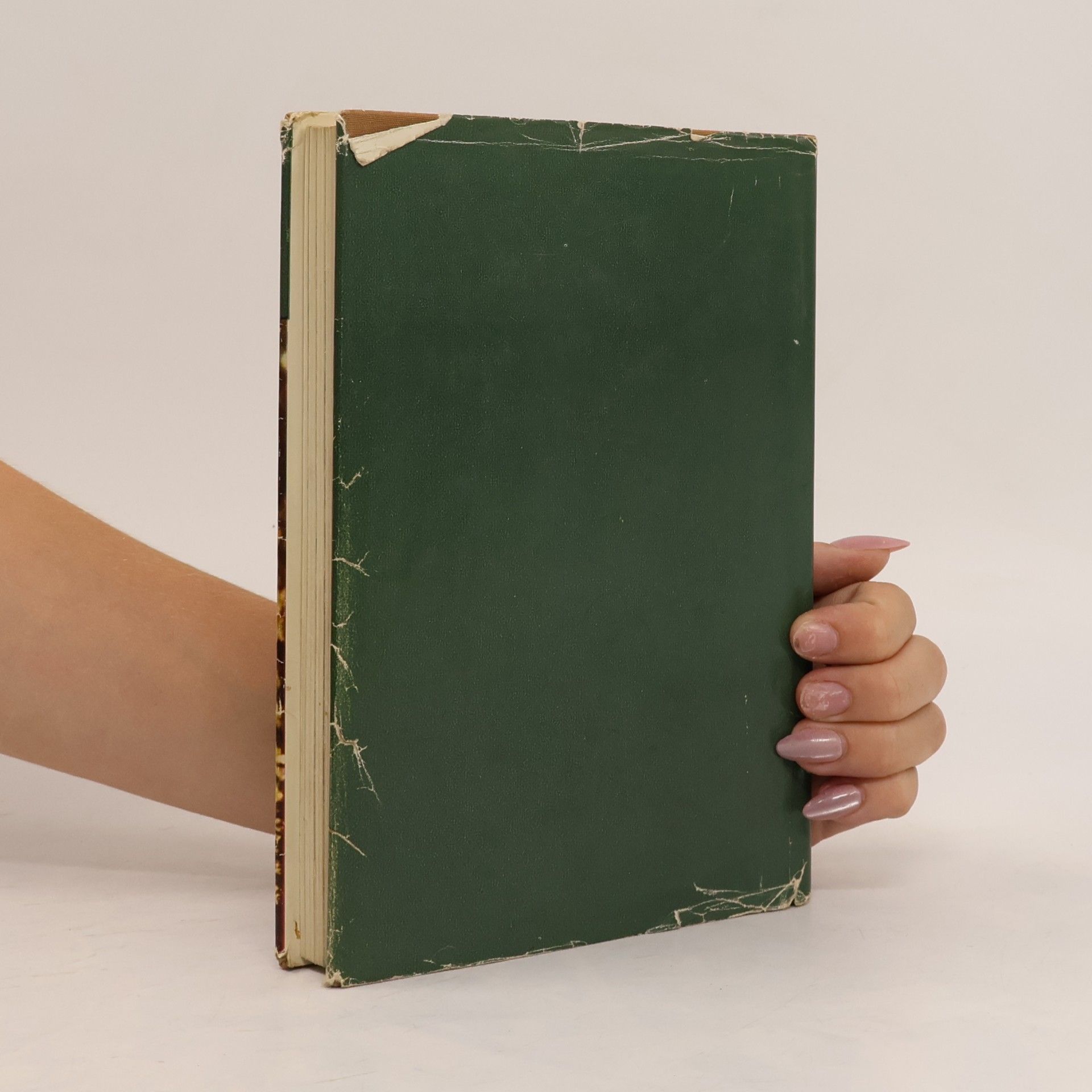 Autorenkollektiv Vier Jahreszeiten. Jagderzählungen