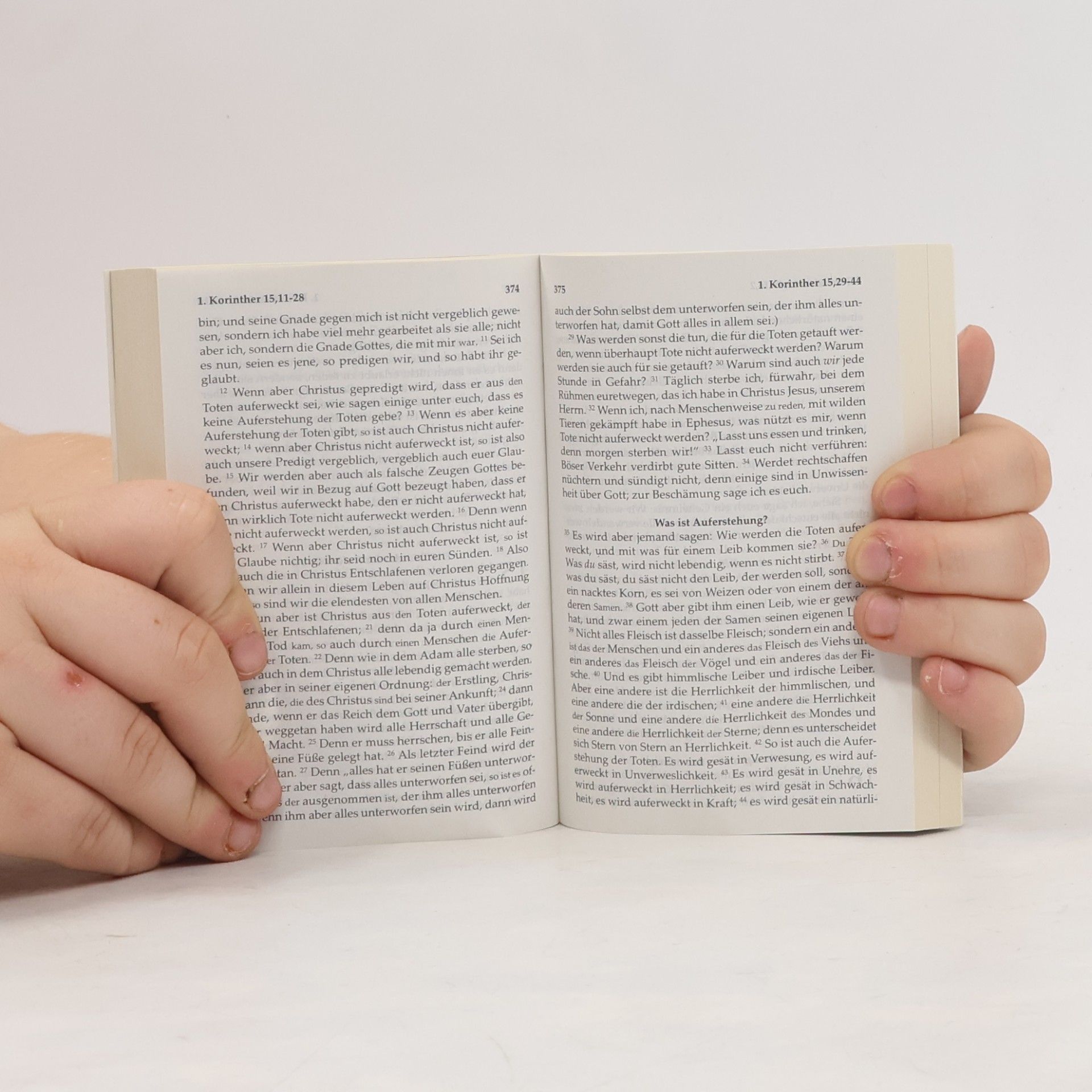 Kolektiv autorů Das Neue Testament und die Psalmen