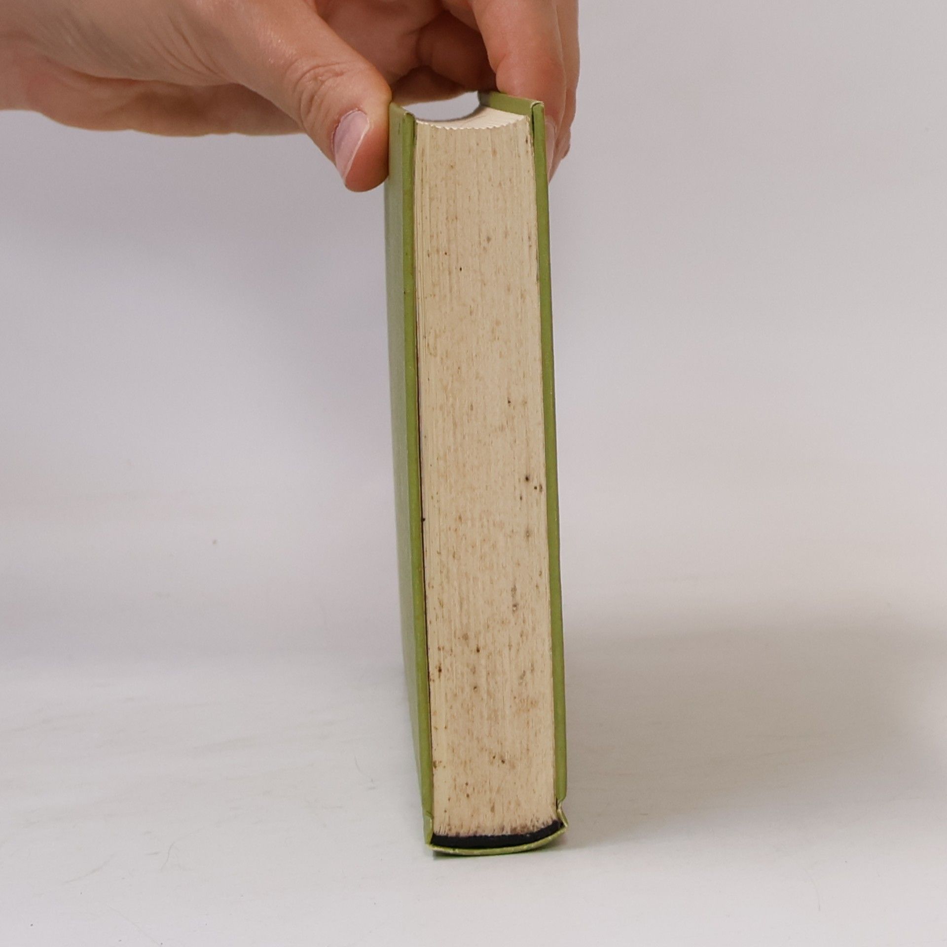 Hans Lauter Die Architektur des Hellenismus