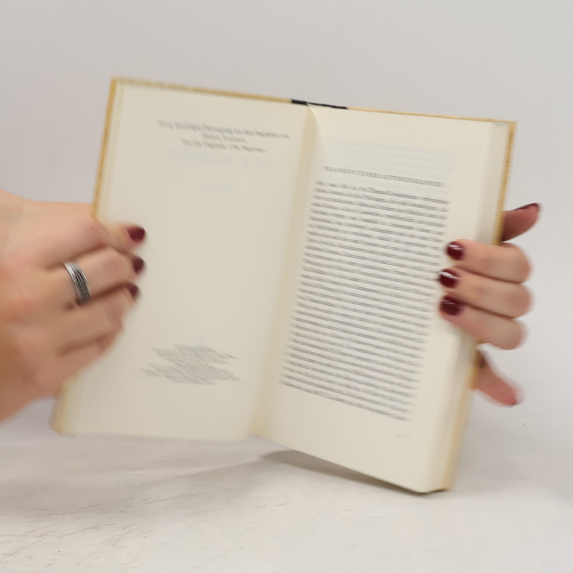 William Somerset Maugham Der Magier