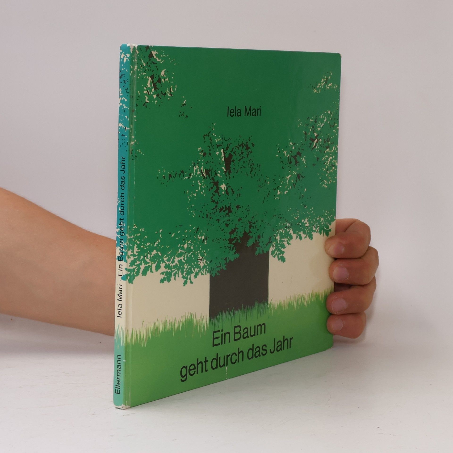 Ein Baum geht durch das Jahr