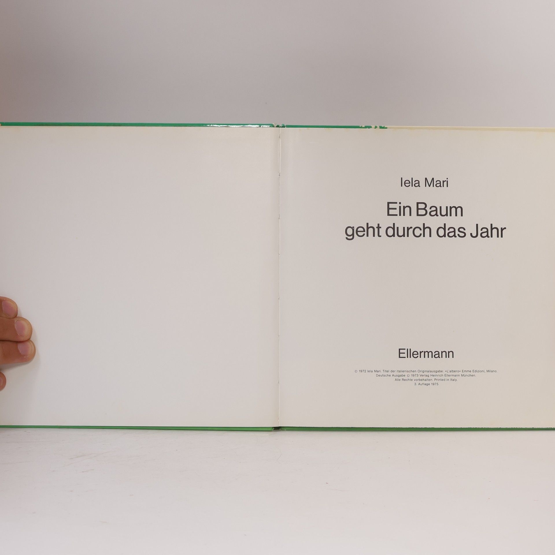 Iela Mari Ein Baum geht durch das Jahr