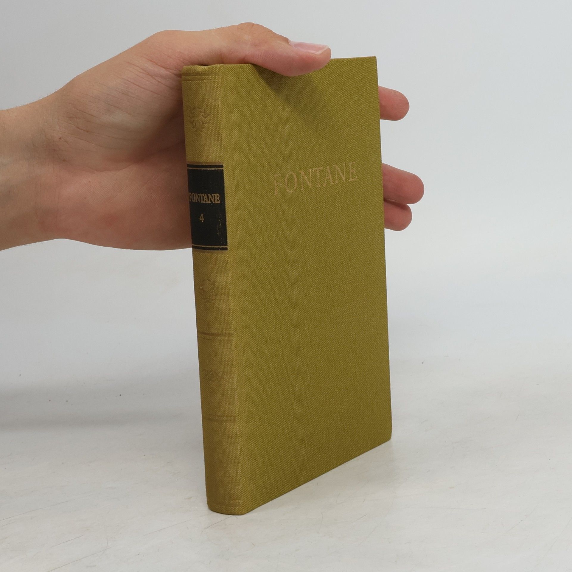 Theodor Fontane Fontanes Werke 4