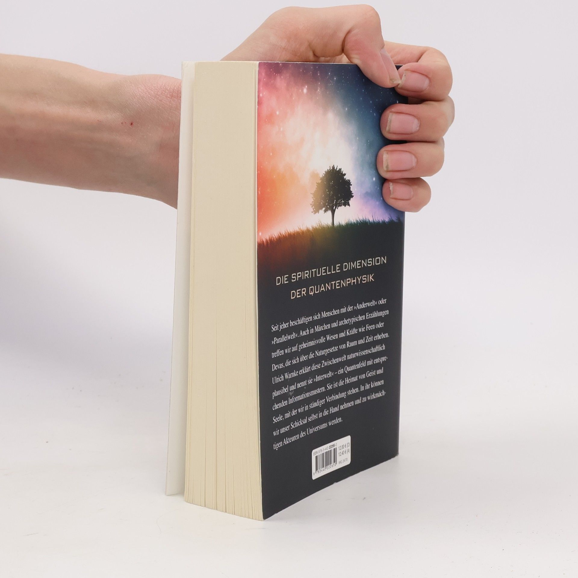 Ulrich Warnke Quantenphilosophie und Interwelt