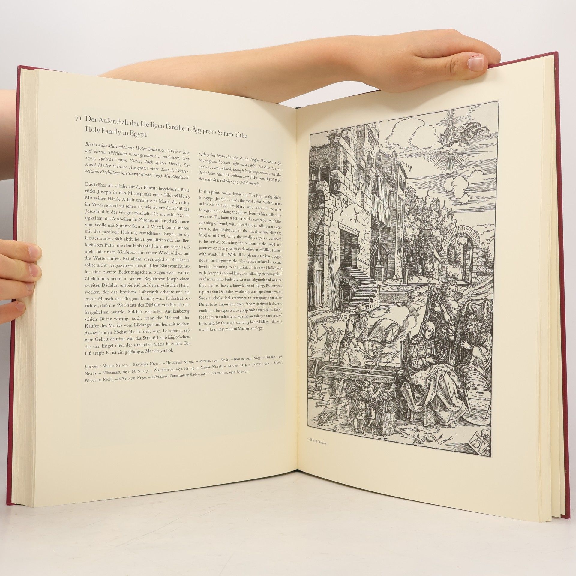 Albrecht Dürer Dürer in Dublin