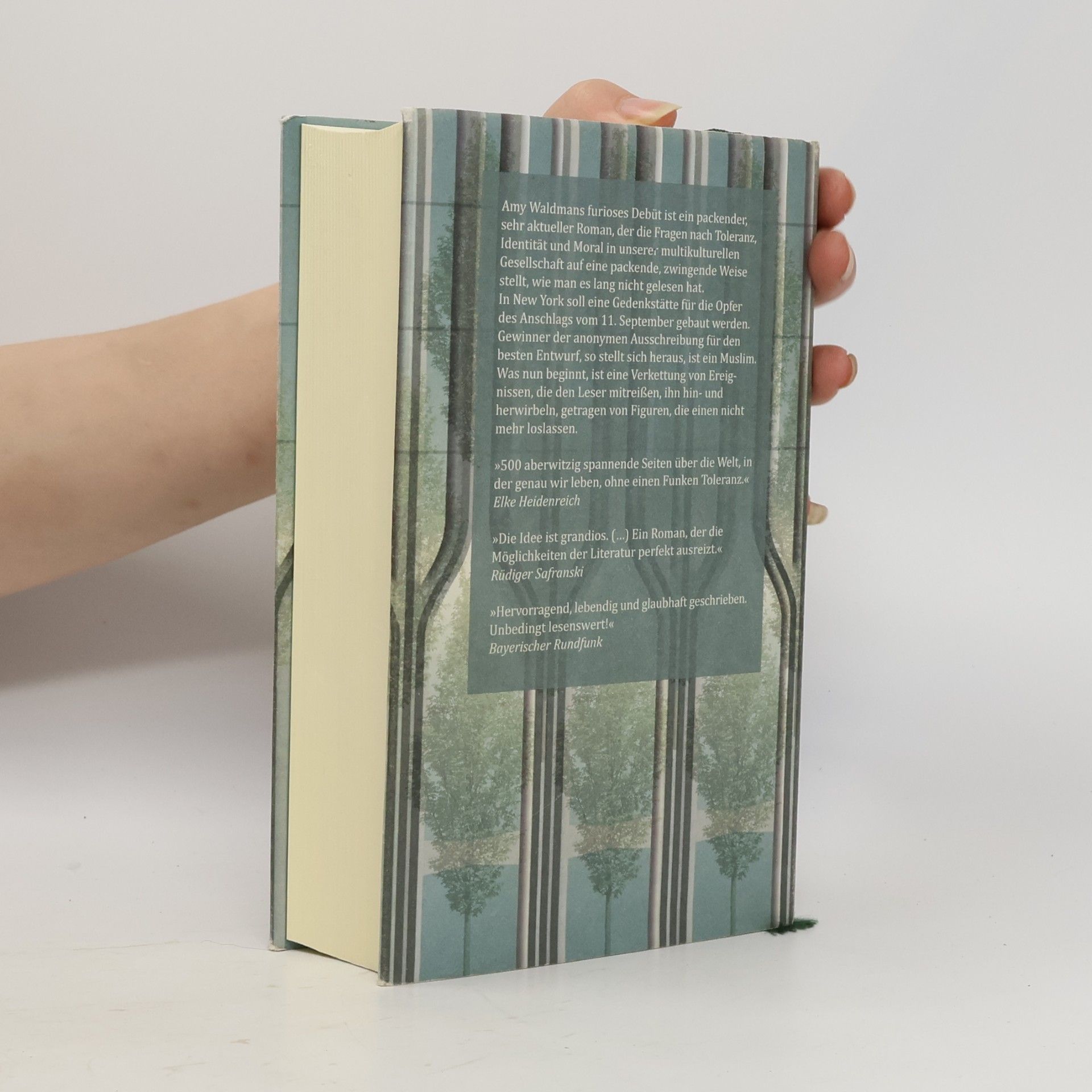 Amy Waldman Der amerikanische Architekt