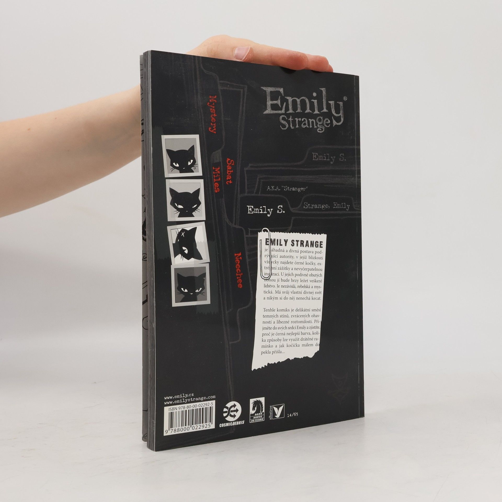 Robert Reger Emily Strange. Ztracená, temná a znuděná