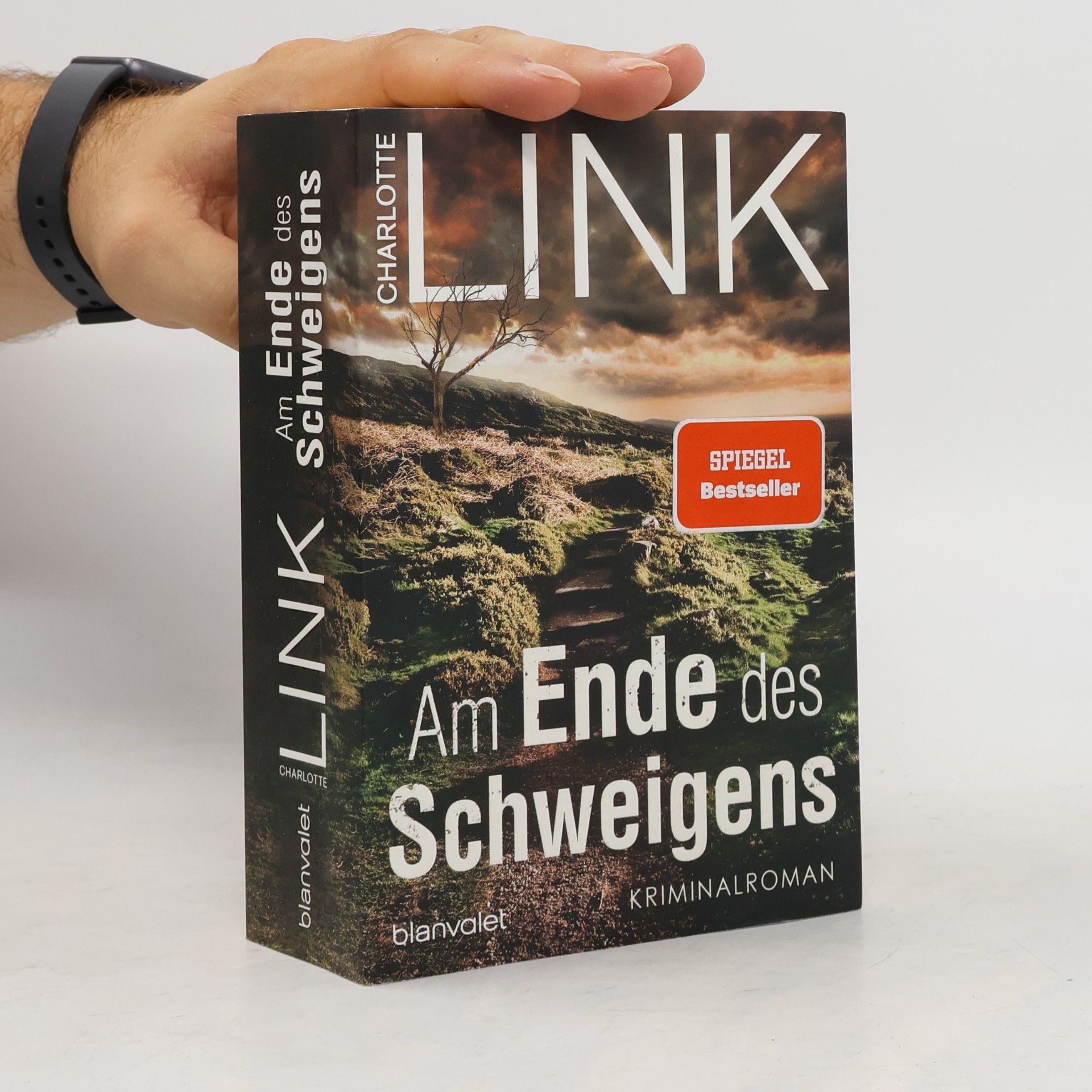 Charlotte Link Am Ende des Schweigens