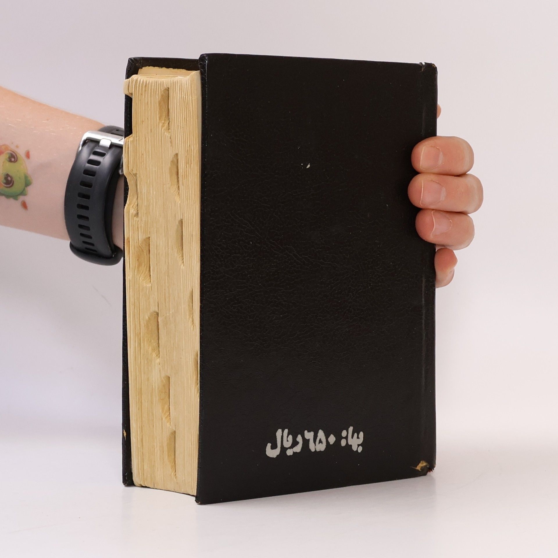 Kolektiv autorů فرهنگ حبیبی انگلیسی - فارسی = English Persion Dictionary