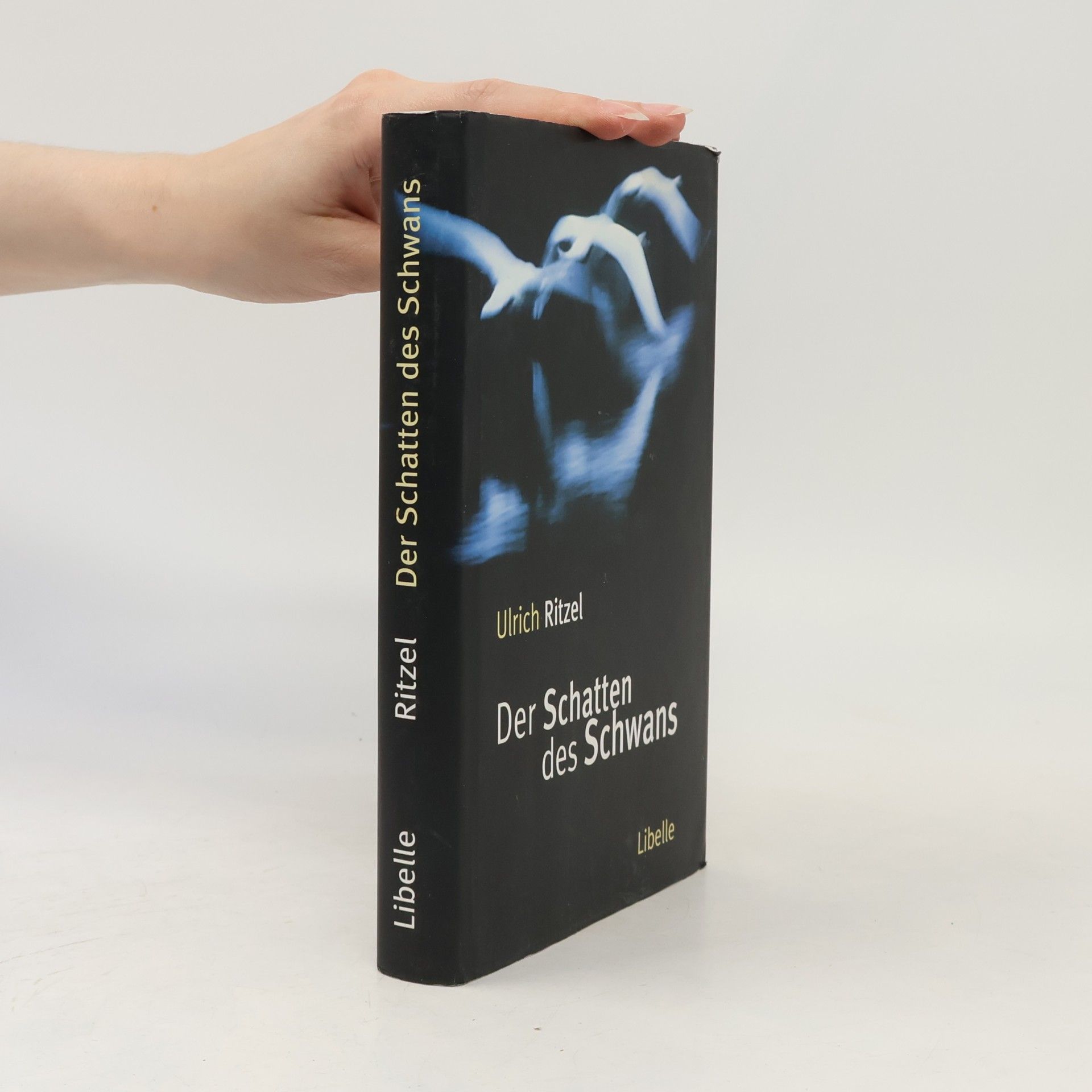 Ulrich Ritzel Der Schatten des Schwans