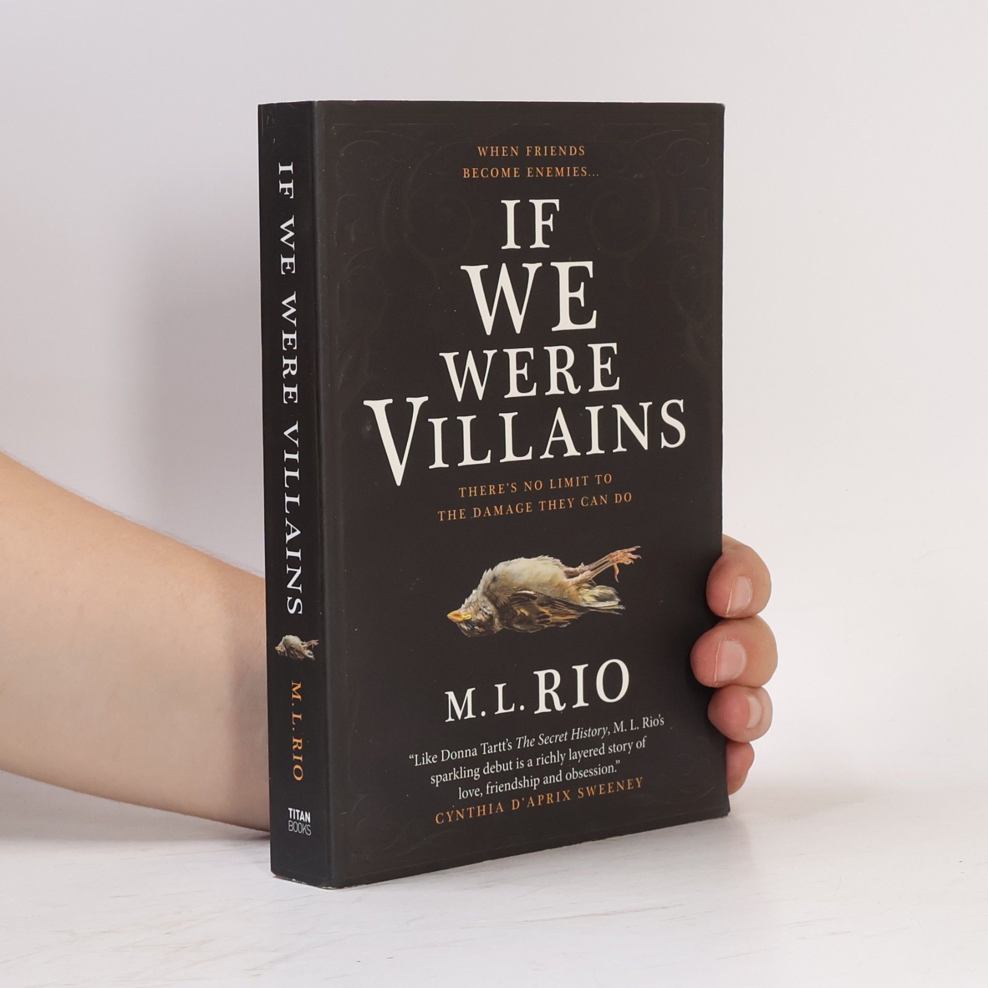 M. L. Rio If We Were Villains
