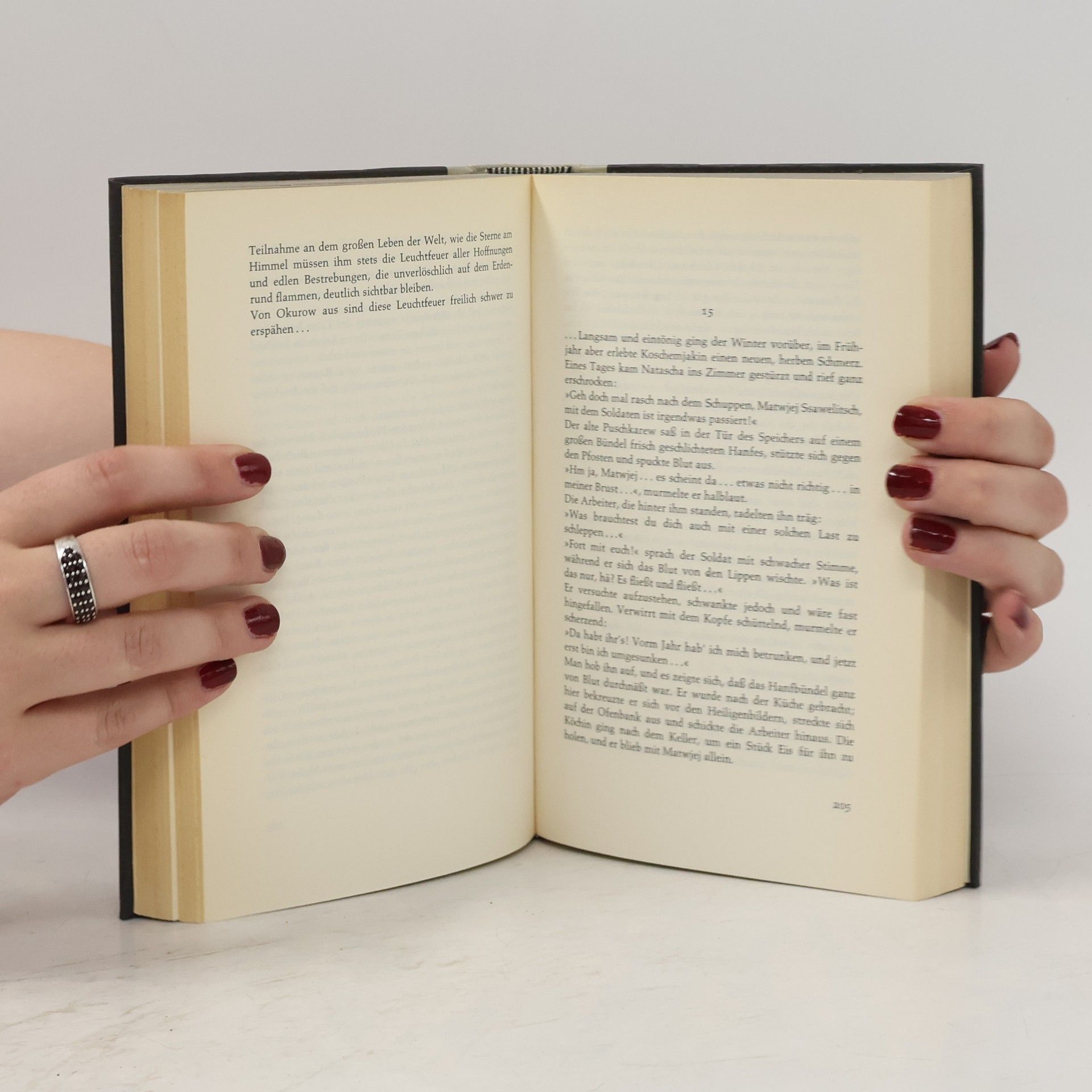 Maxim Gorkij Der Sohn der Sonne