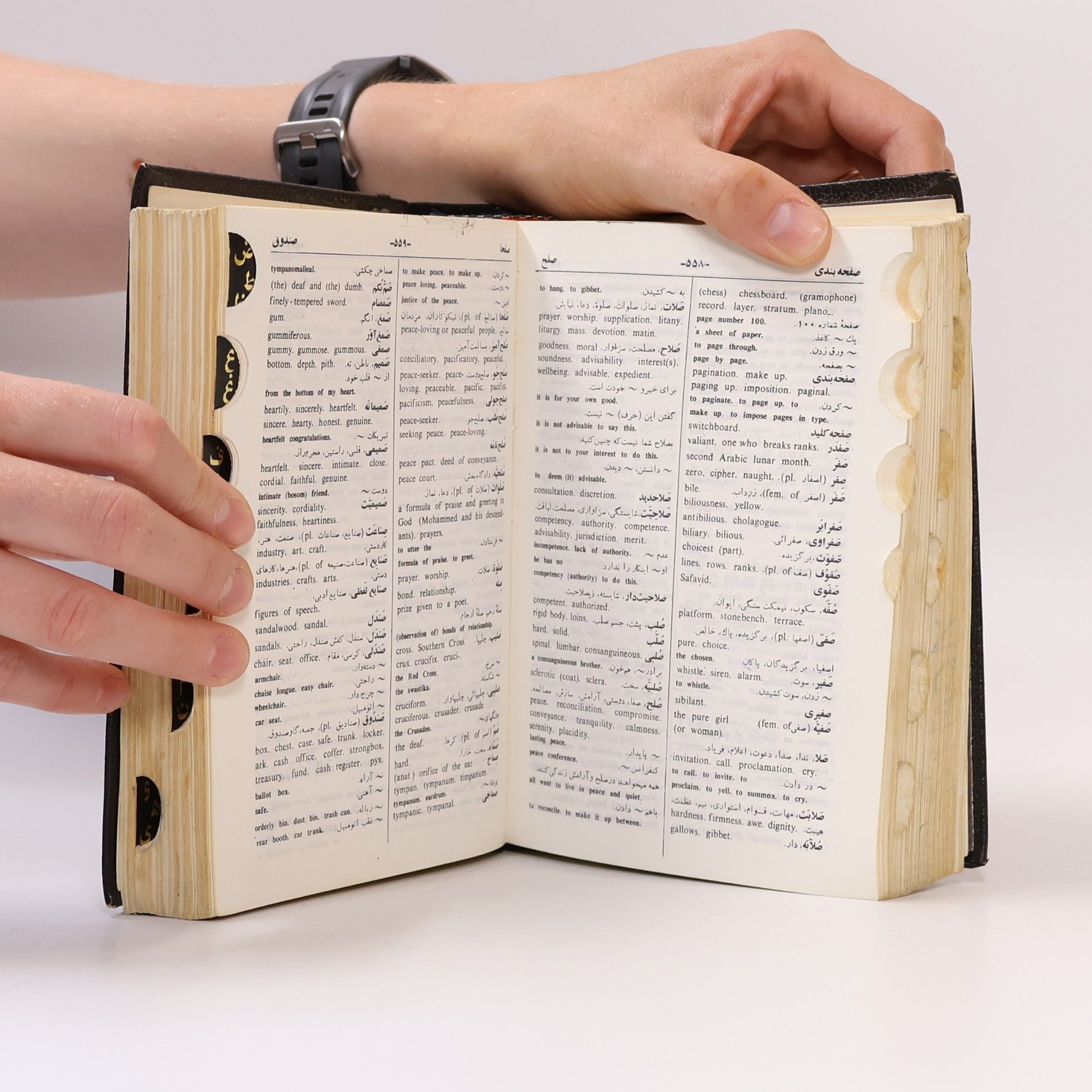 Kolektiv autorů Persian English Dictionary