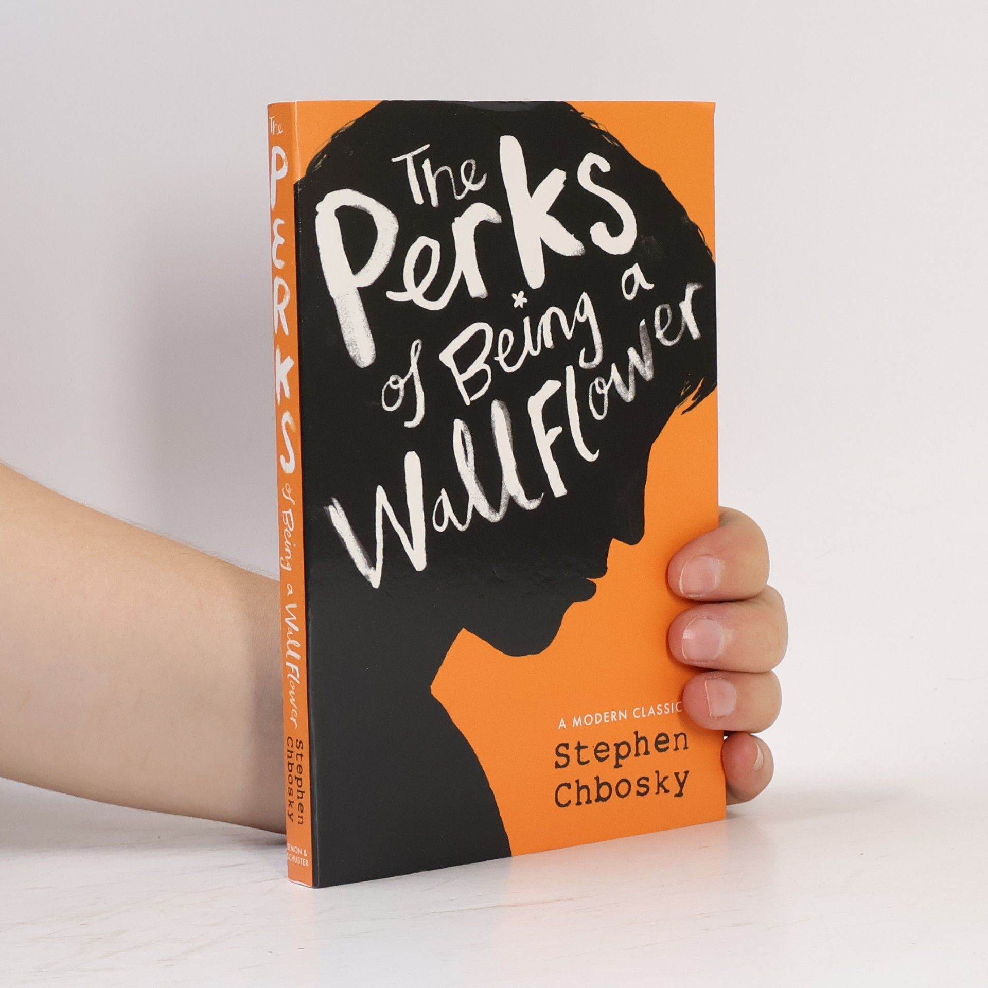 Stephen Chbosky The Perks of Being a Wallflower