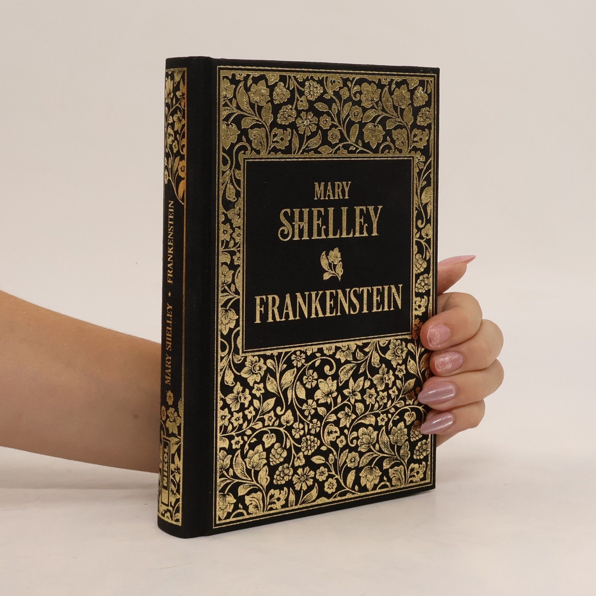 Mary Shelley Frankenstein oder Der neue Prometheus