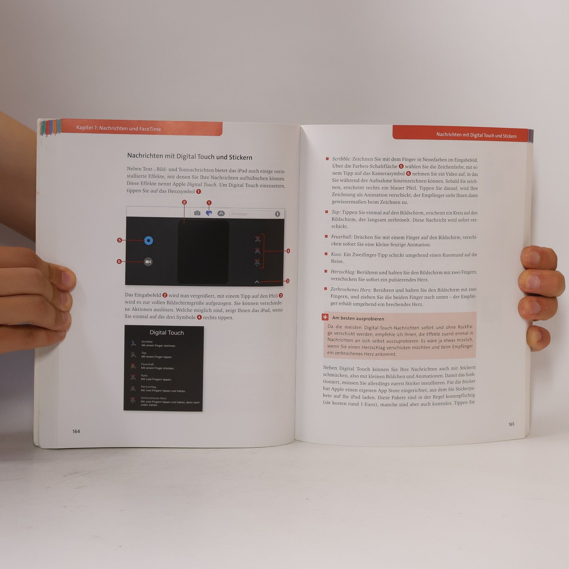 Giesbert Damaschke Das iPad-Buch