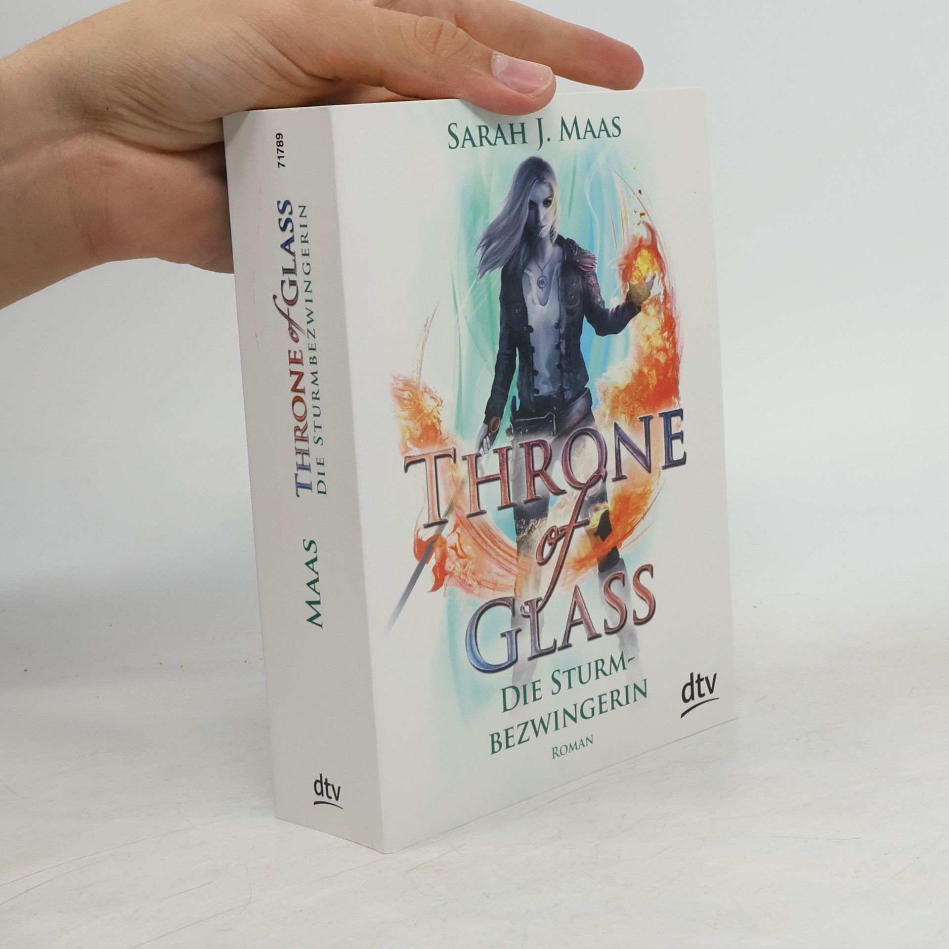 Sarah J. Maas Die Sturmbezwingerin