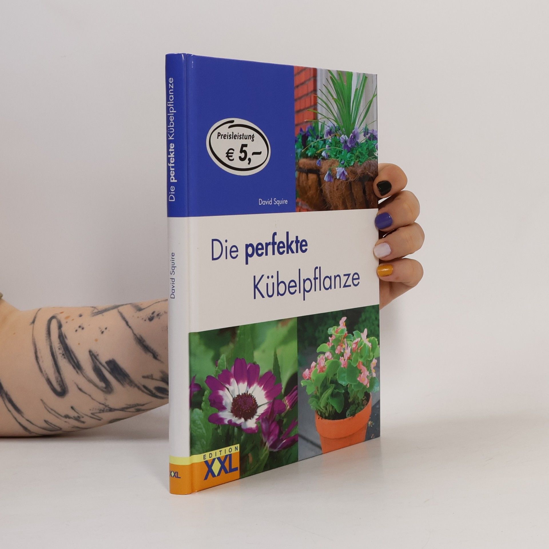David Squire Die perfekte Kübelpflanze