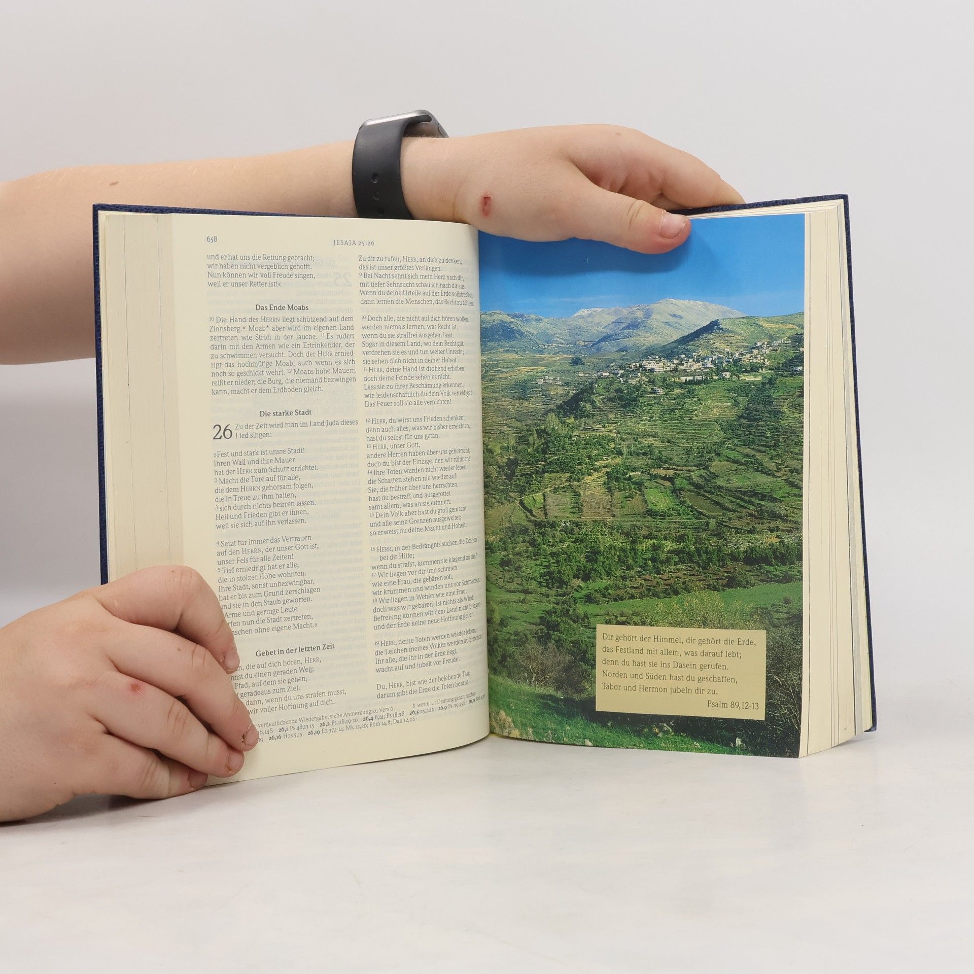 Autorenkollektiv Gute-Nachricht-Bibel