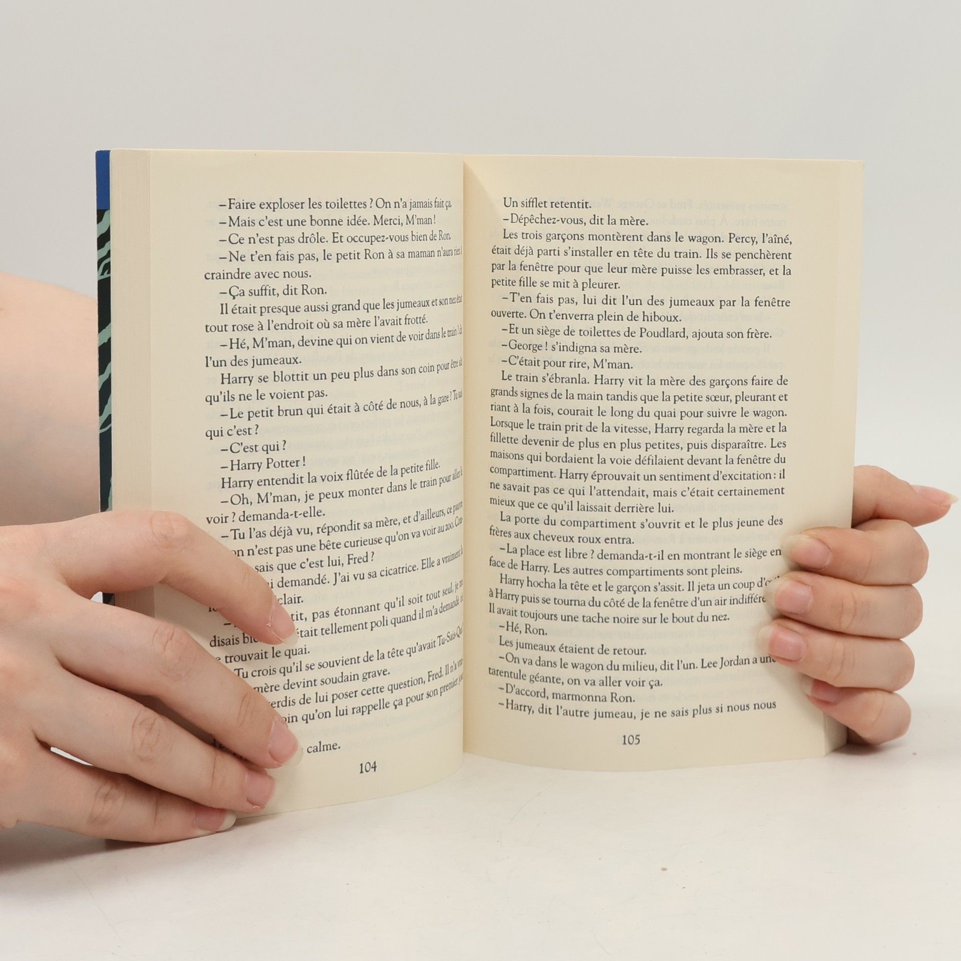 Joanne K. Rowlingová Harry Potter à l'école des sorciers
