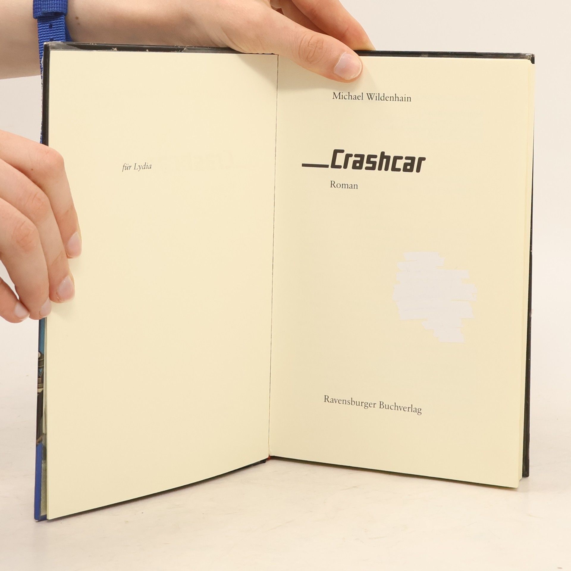 Michael Wildenhain Crashcar