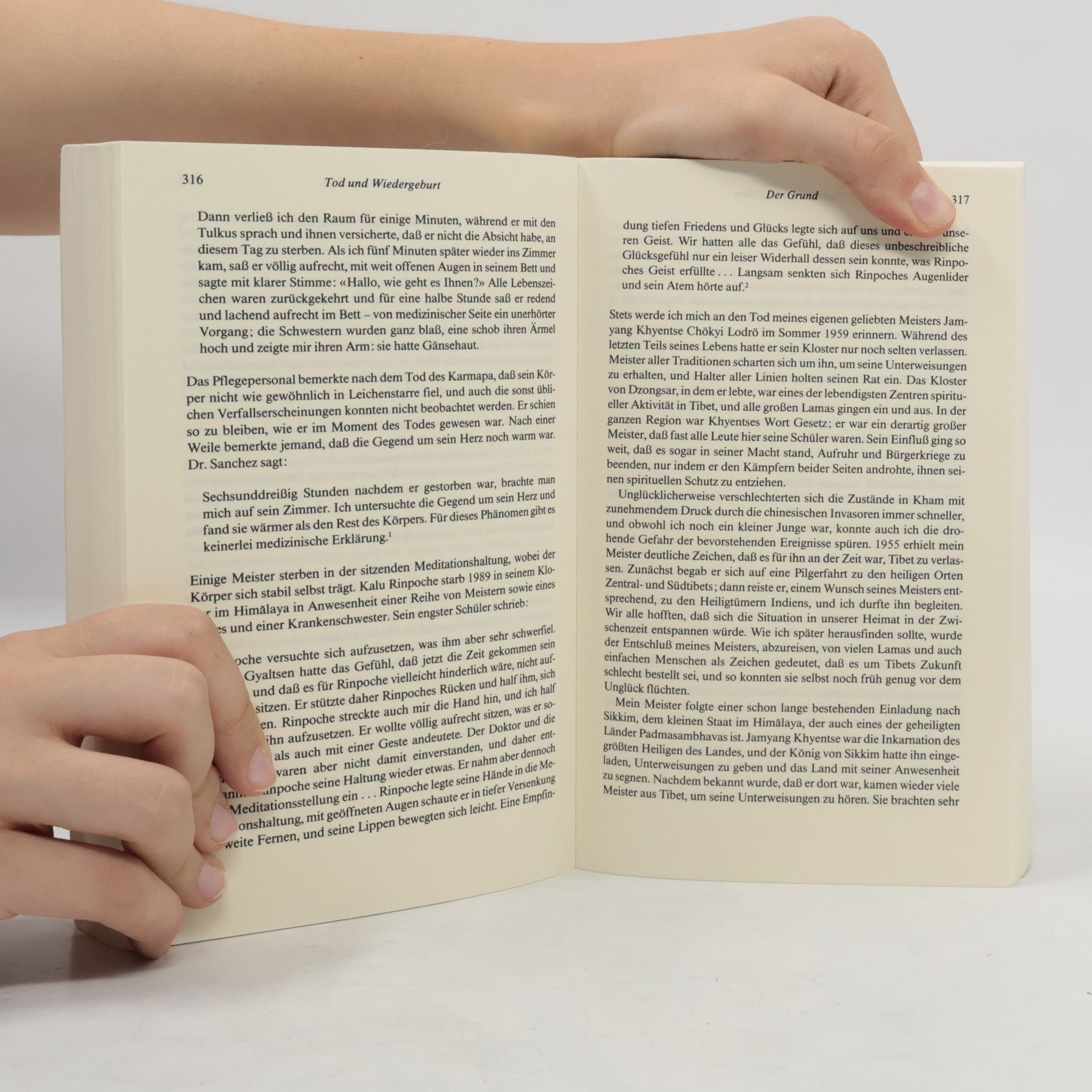 Sogyal Rinpoche Das tibetische Buch vom Leben und vom Sterben