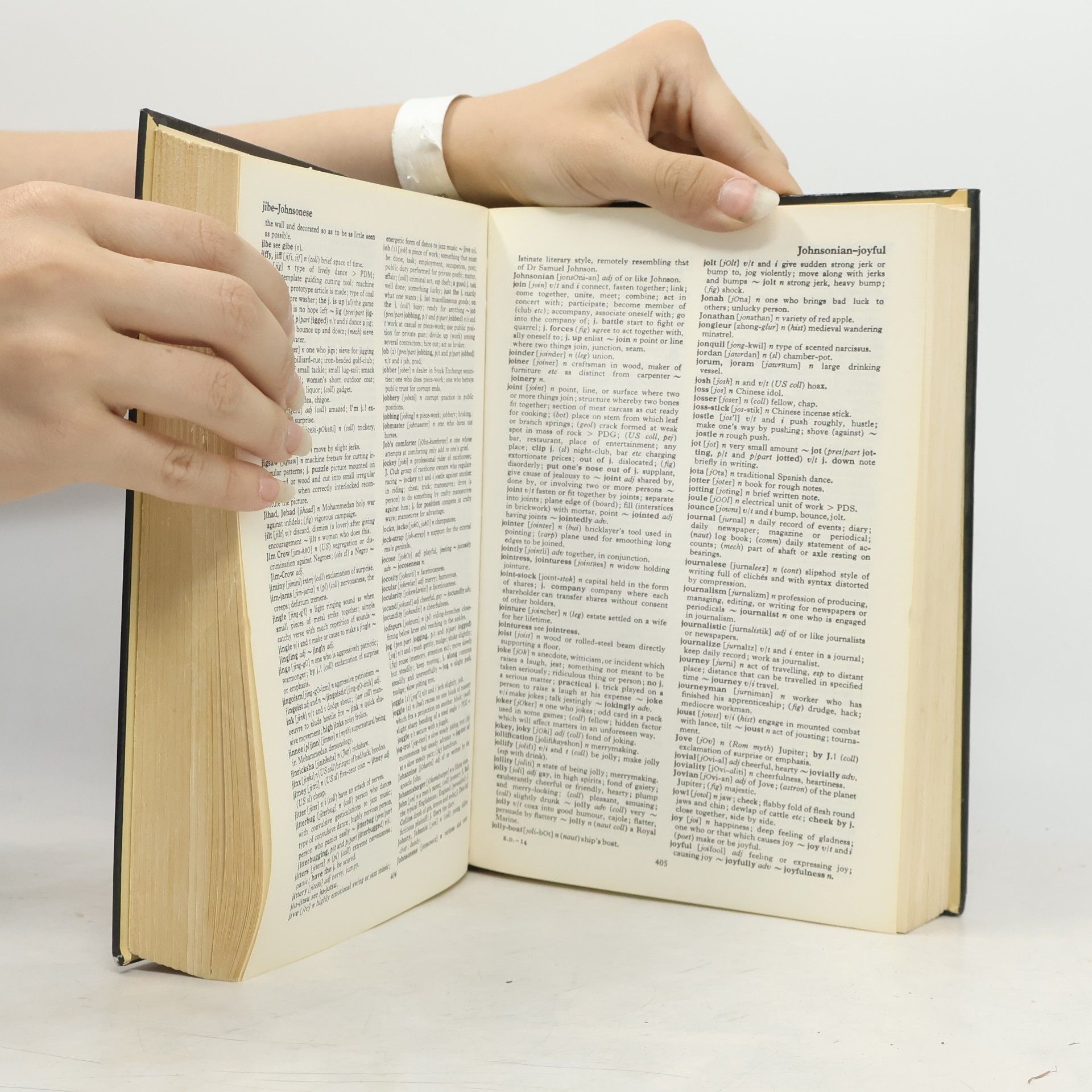 Autorenkollektiv The Penguin All English Dictionary
