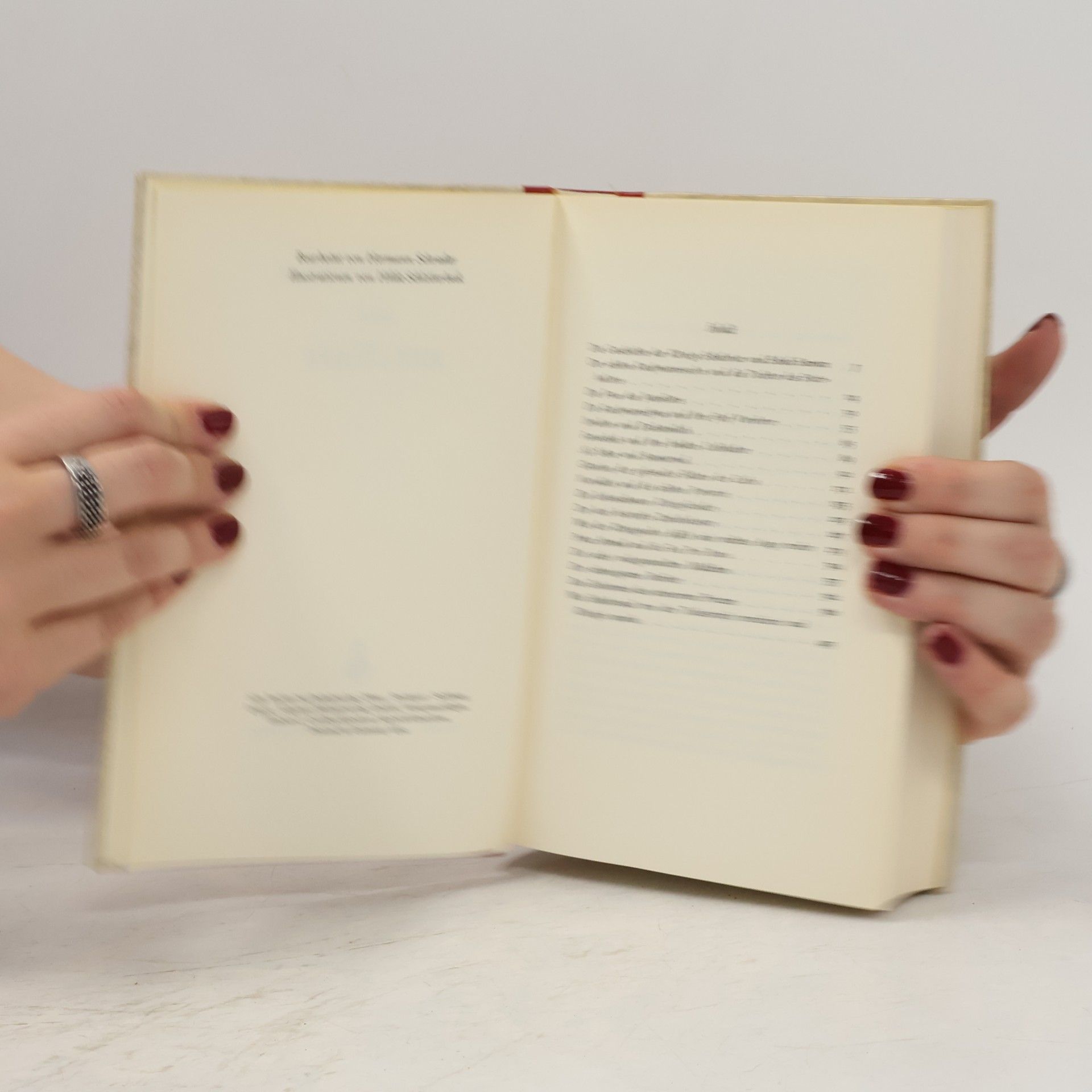 Autorenkollektiv Liebesabenteuer aus 1001 Nacht