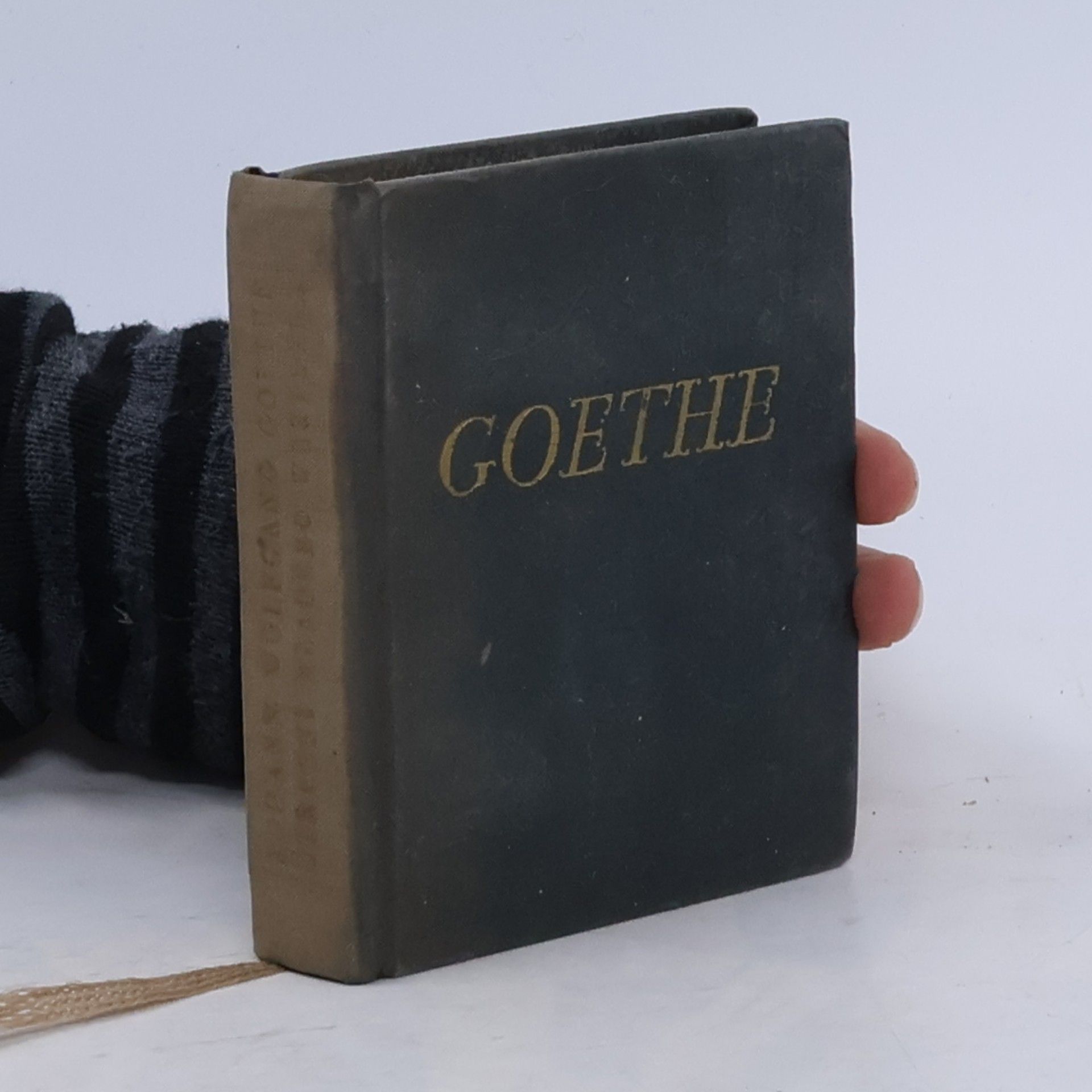 Johann Wolfgang von Goethe Utrpení mladého Werthera