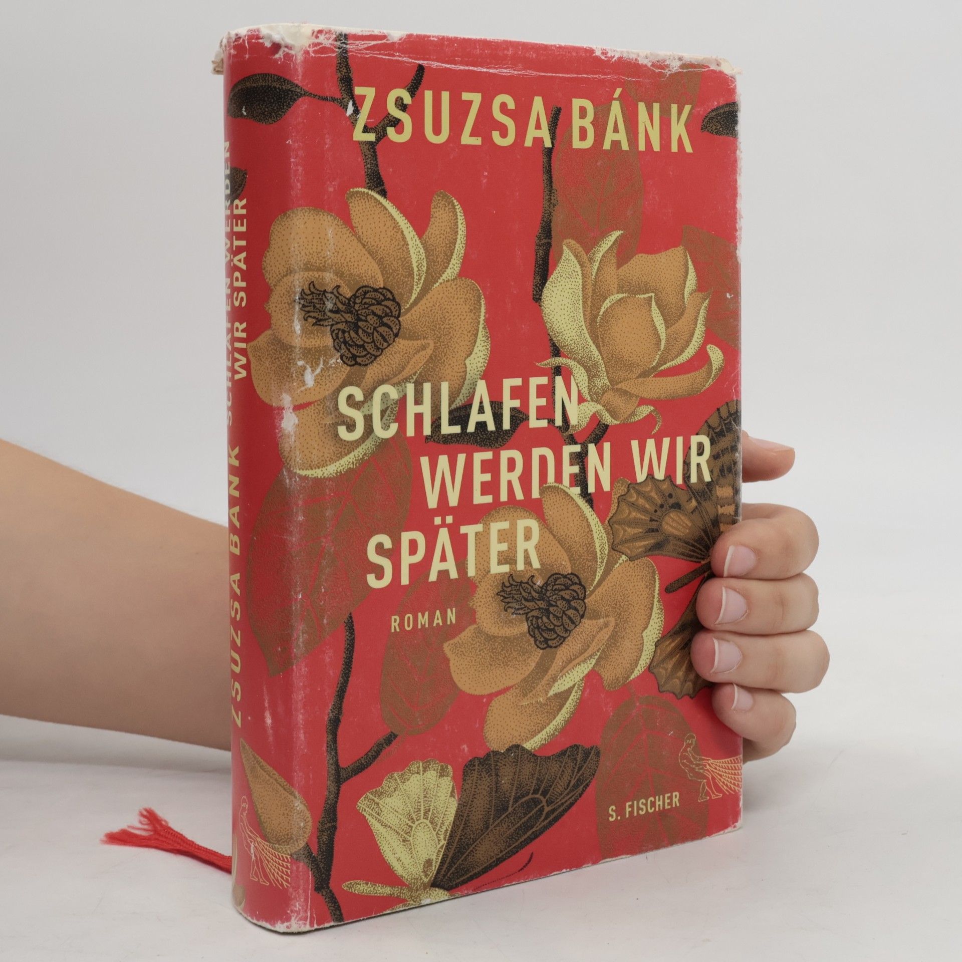 Zsuzsa Bánk Schlafen werden wir später