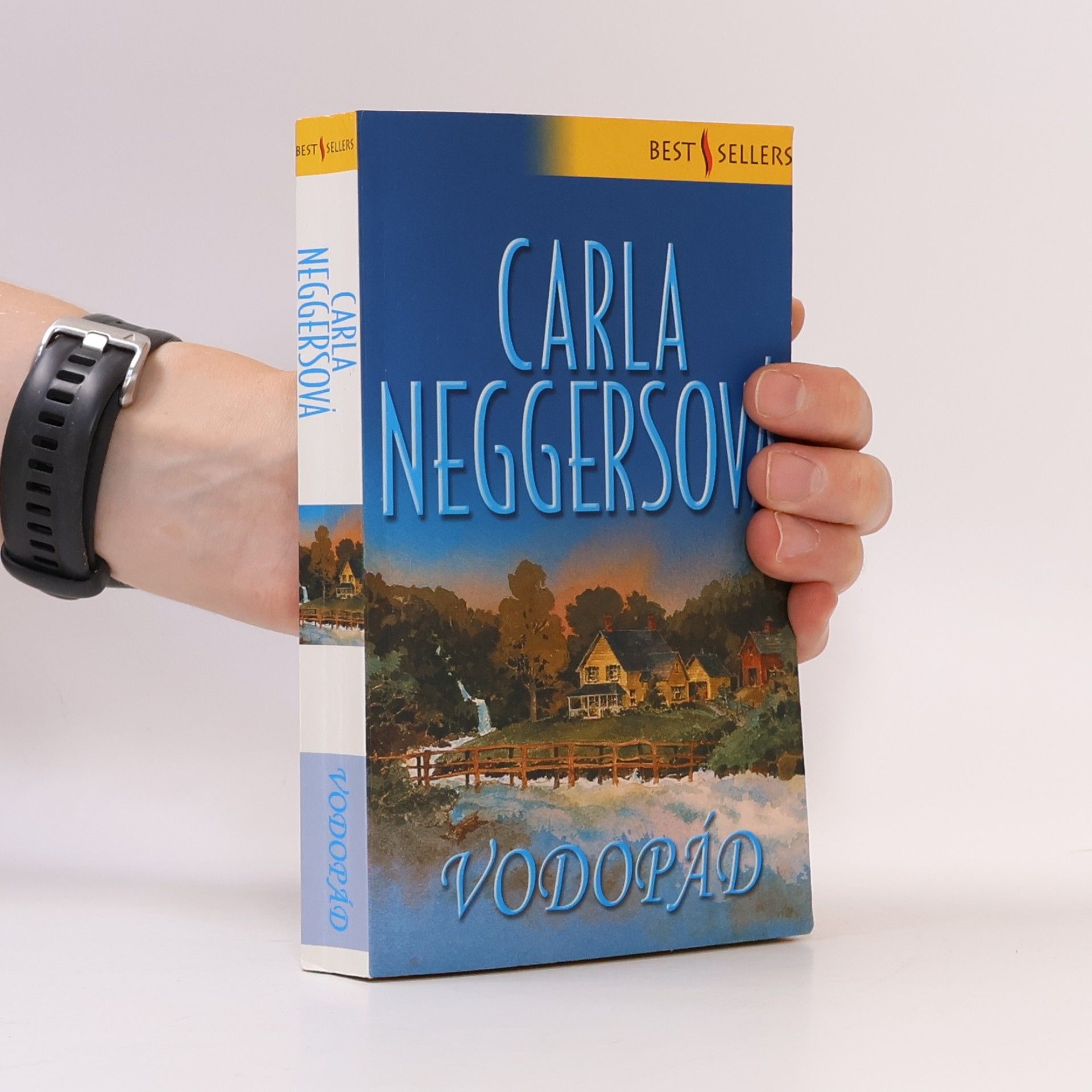 Carla Neggers Vodopád