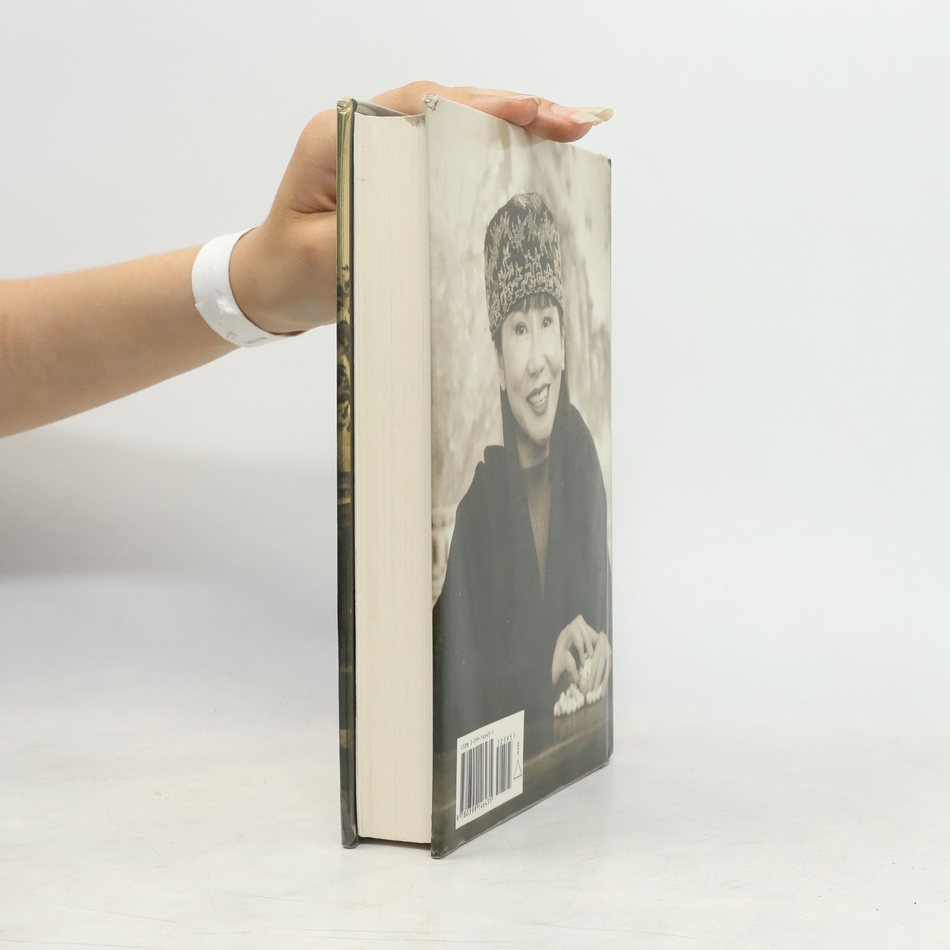 Amy Tan The Bonesetter's Daughter