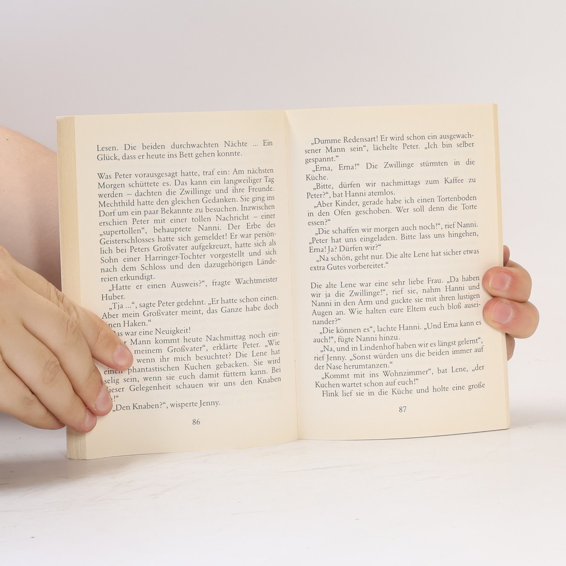 Enid Blyton Hanni und Nanni im Geisterschloss