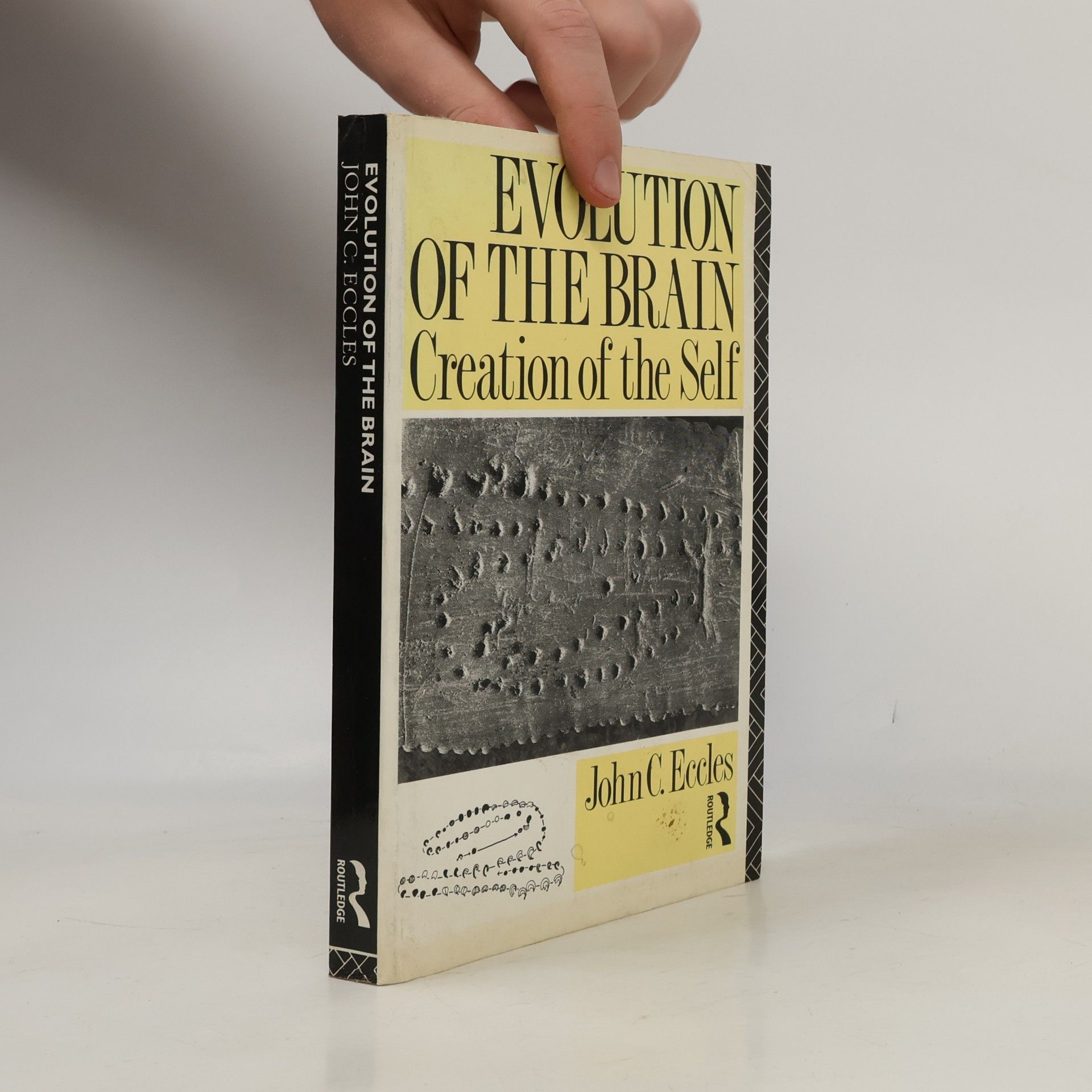 John C. Eccles Evolution of the Brain