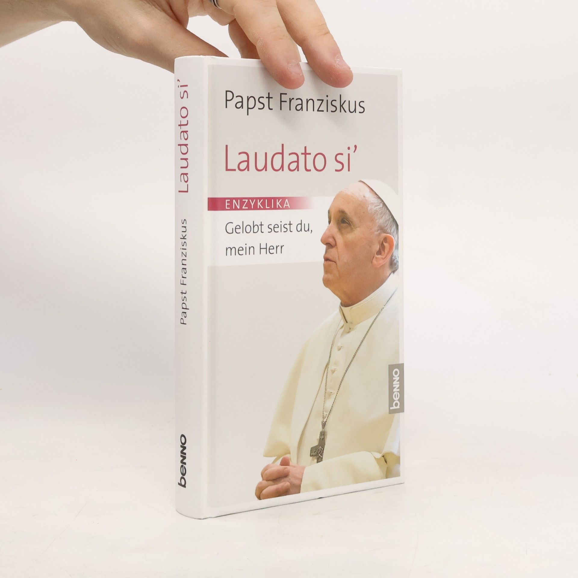 Papst Franziskus Laudato si' : Gelobt seist du, mein Herr