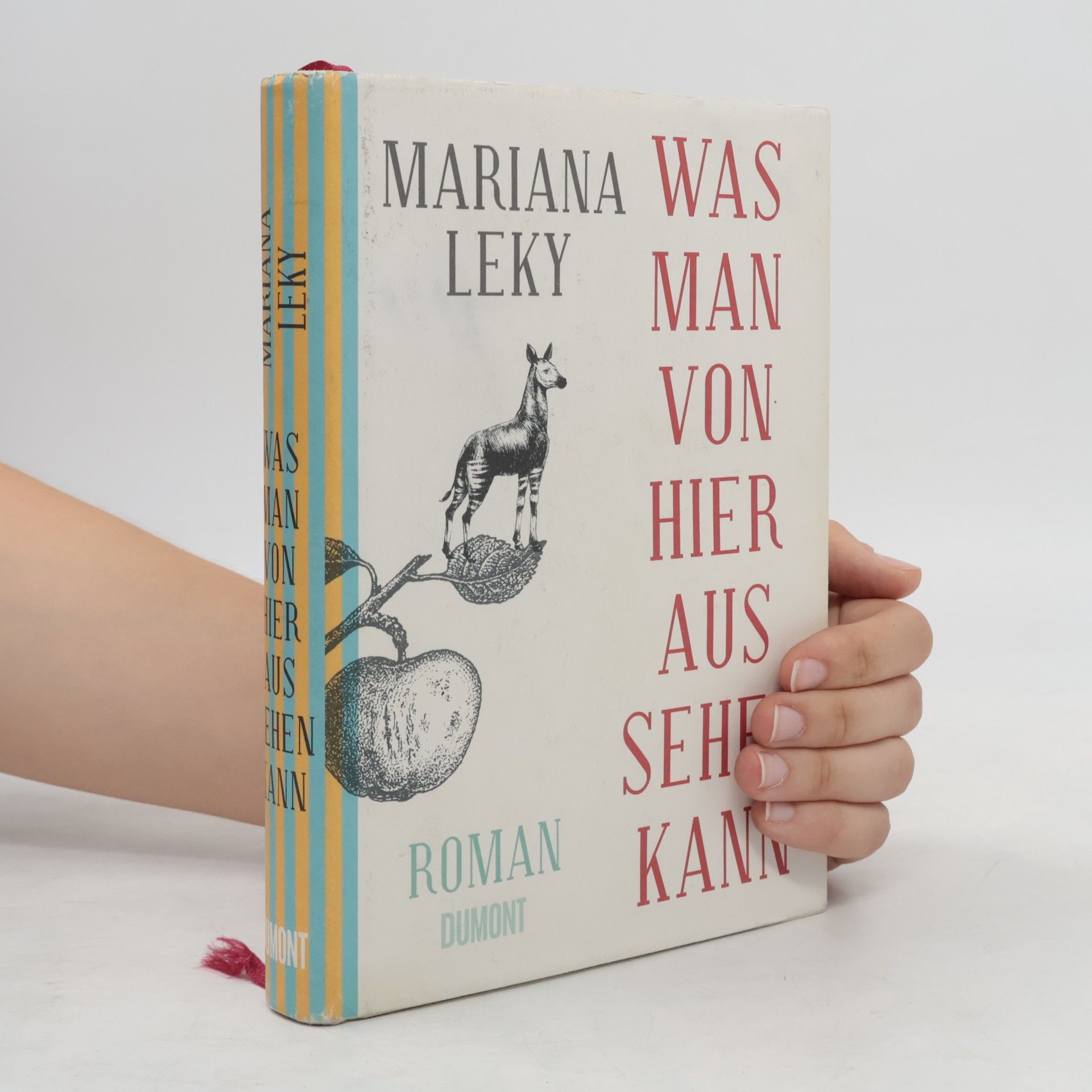 Mariana Leky Was man von hier aus sehen kann