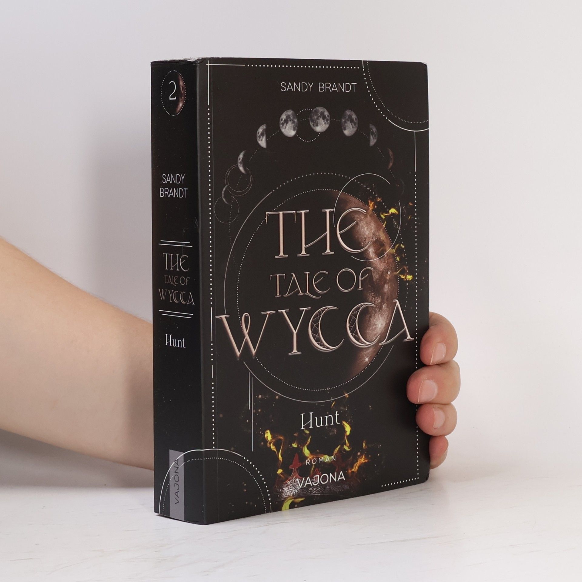 Sandy Brandt The Tale of Wycca 2