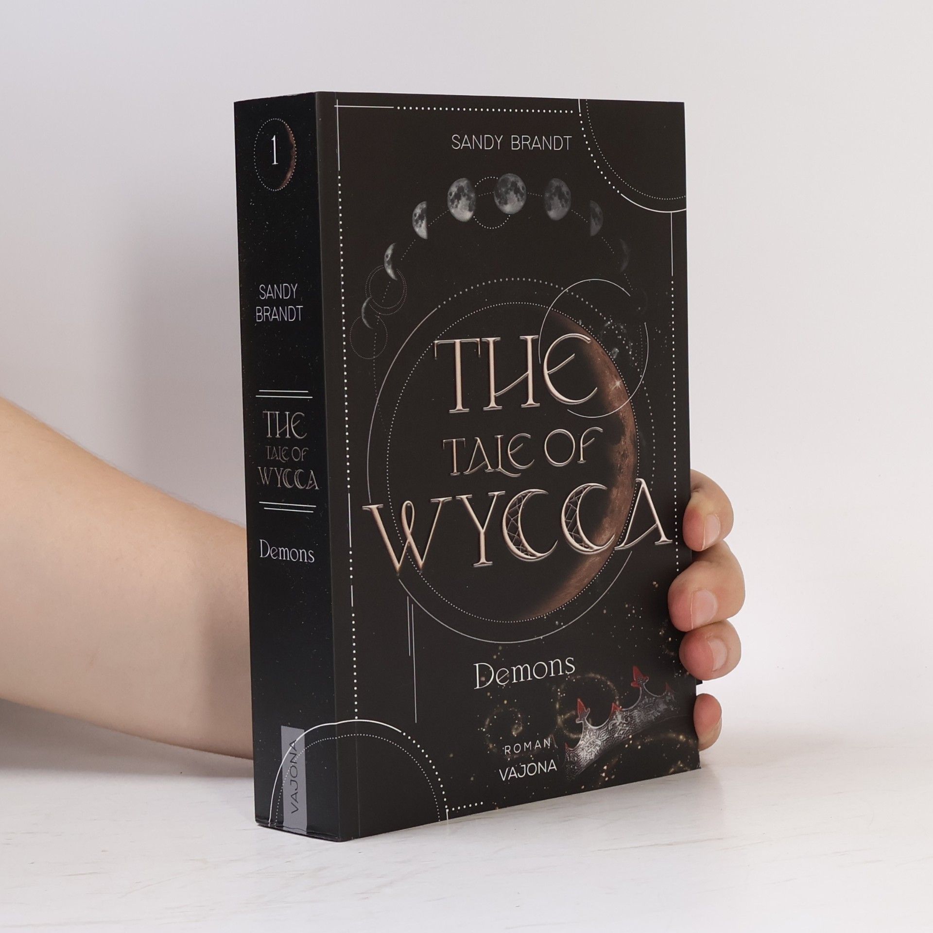 Sandy Brandt The Tale of Wycca 1. Demons