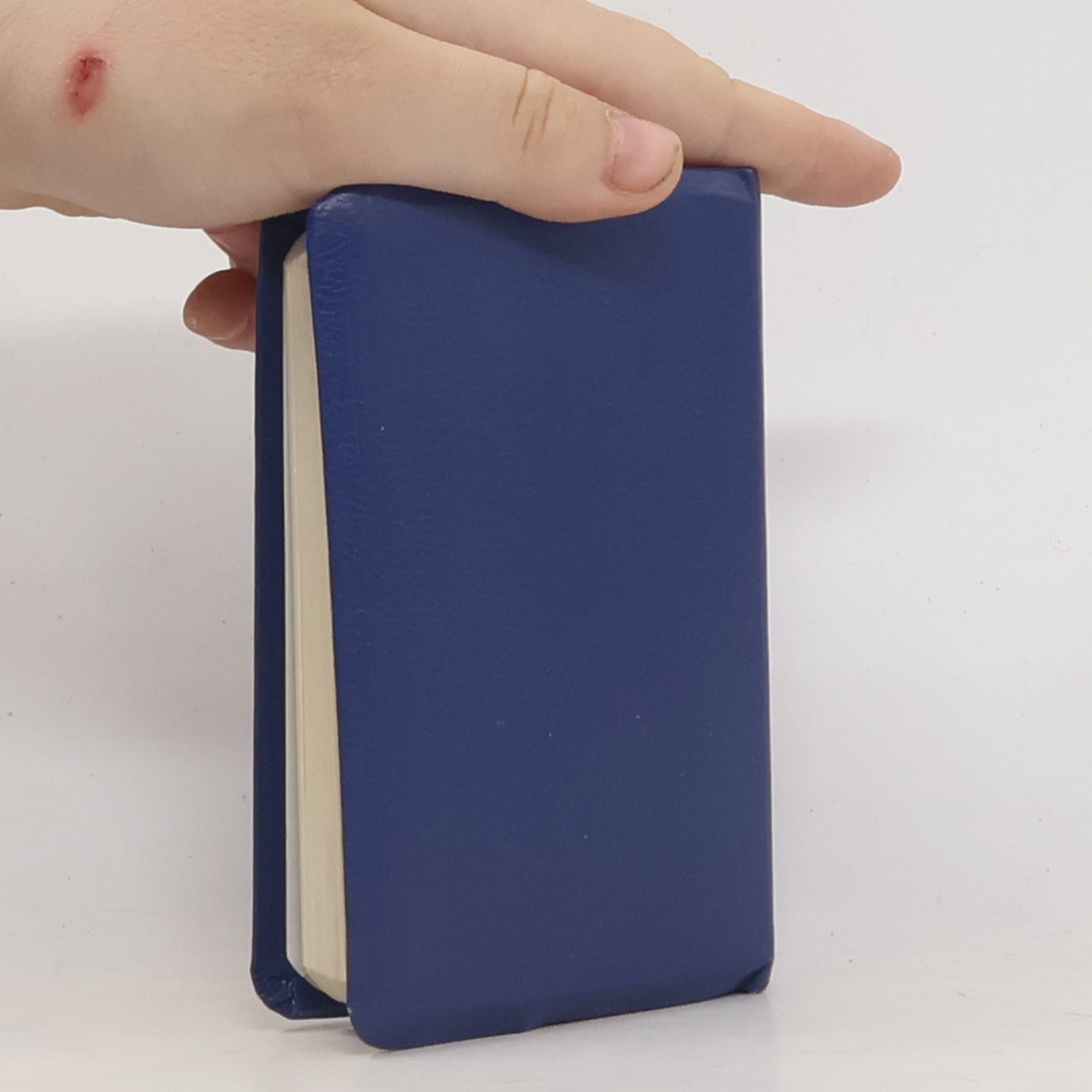 AA.VV. Neues Testament. Psalmen Sprüche