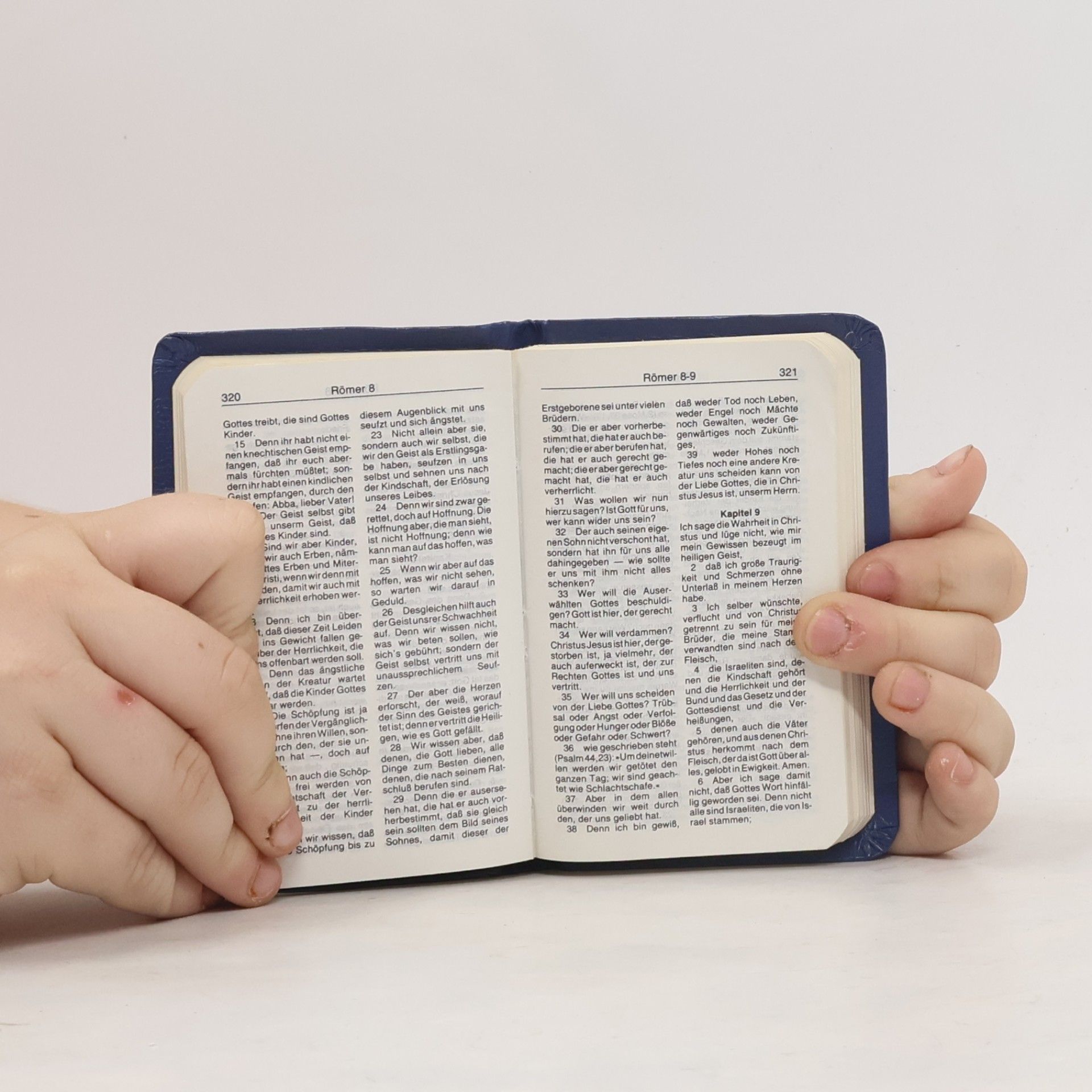 AA.VV. Neues Testament. Psalmen Sprüche
