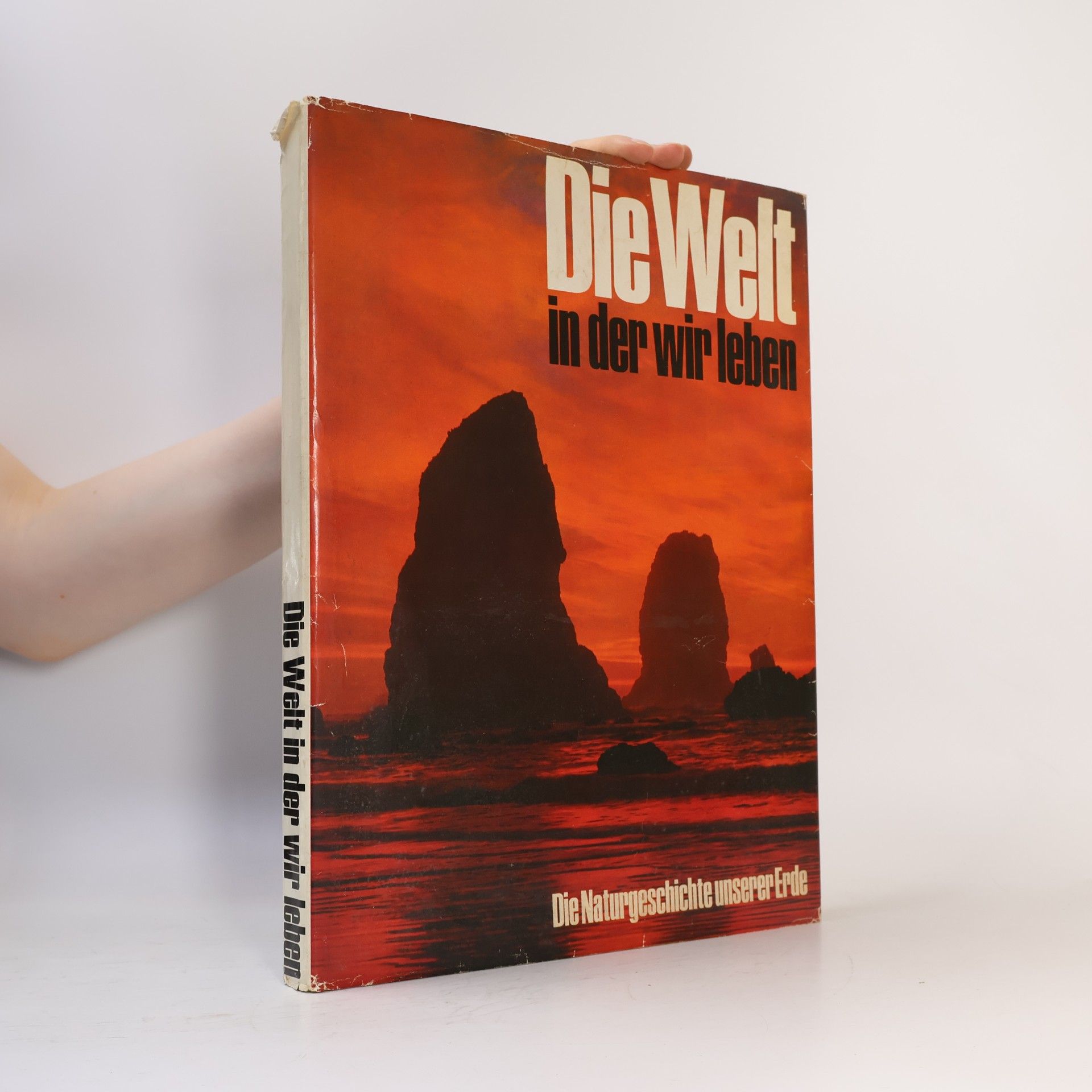 Kolektiv autorů Die Welt in der wir leben