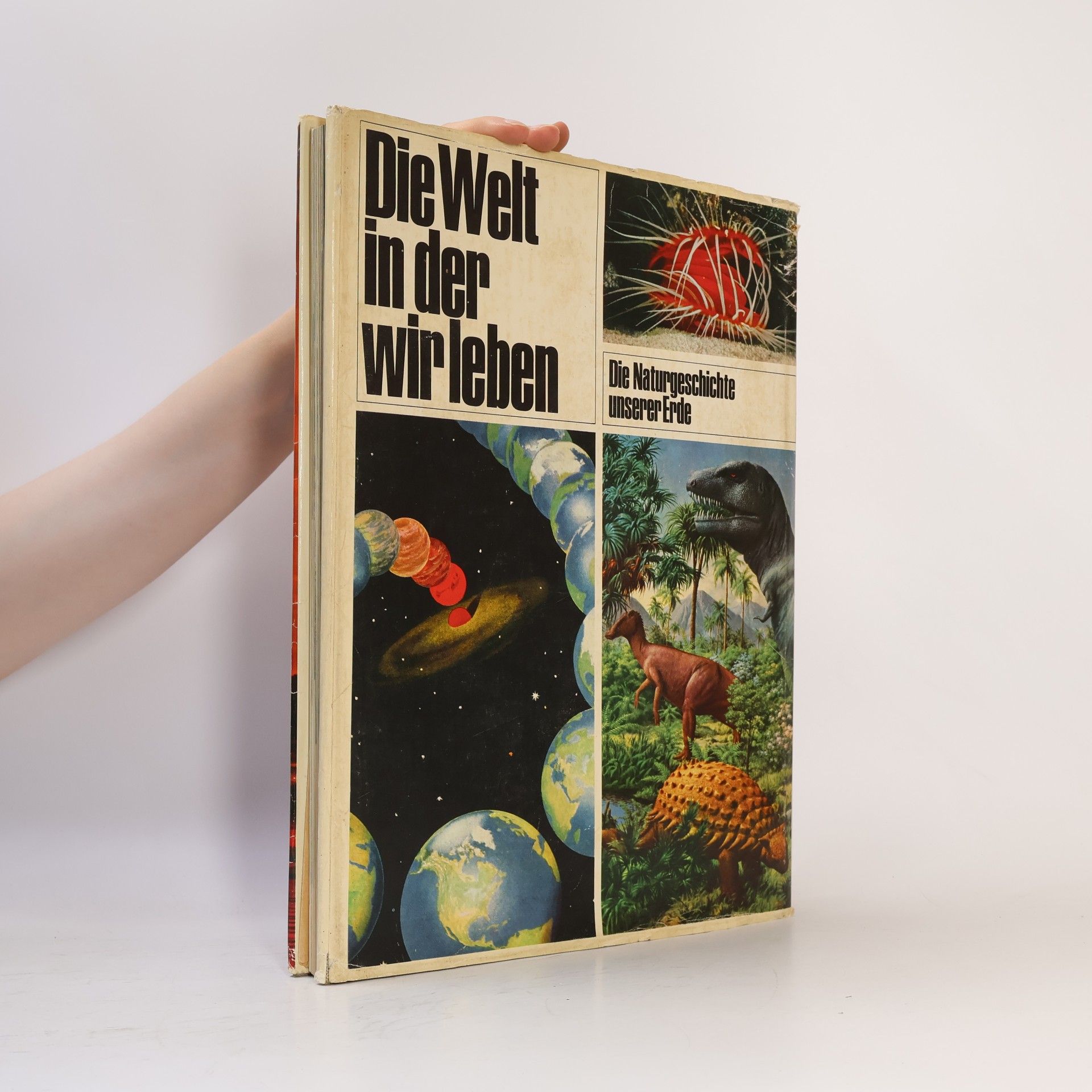 Autorenkollektiv Die Welt in der wir leben