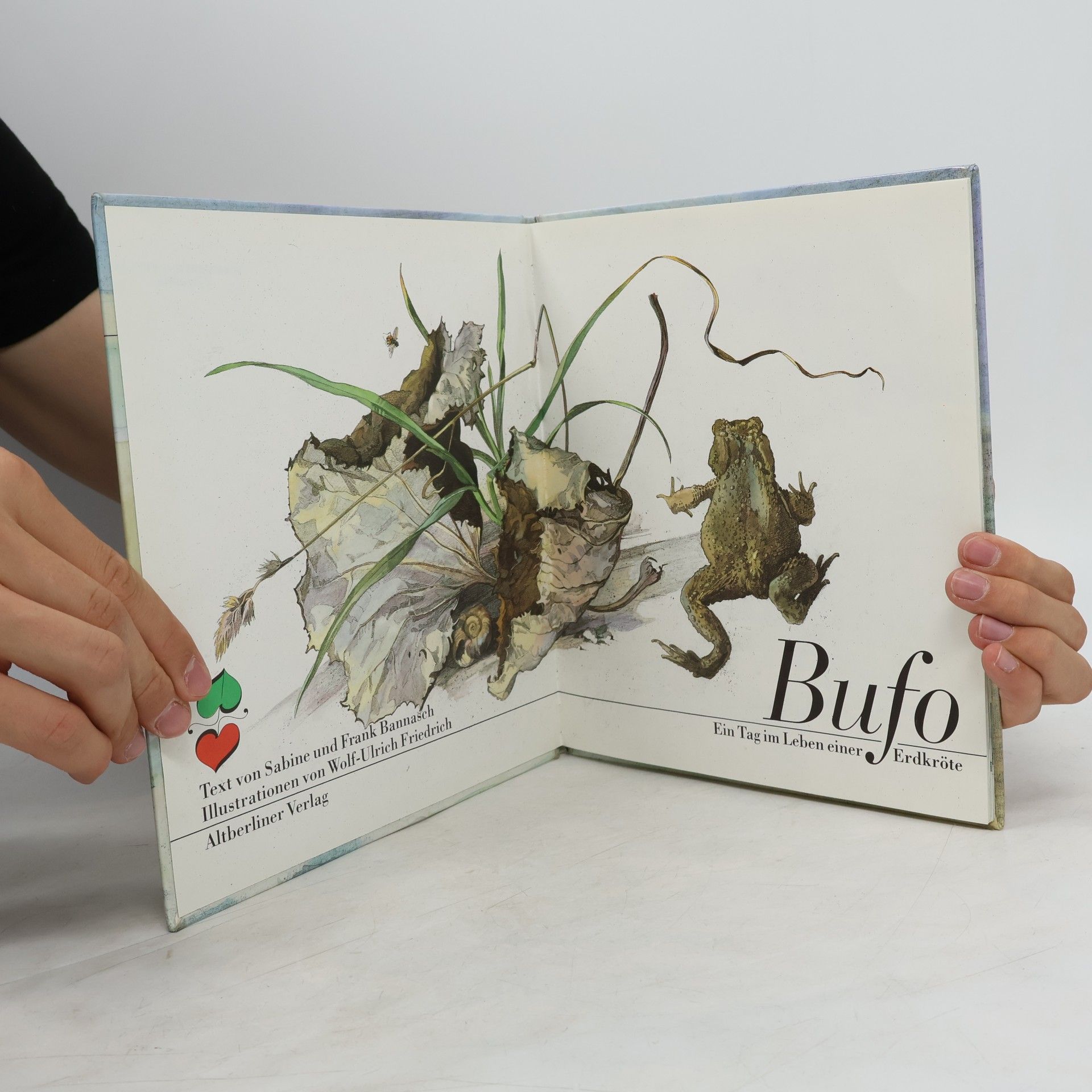 Raonisch Bufo