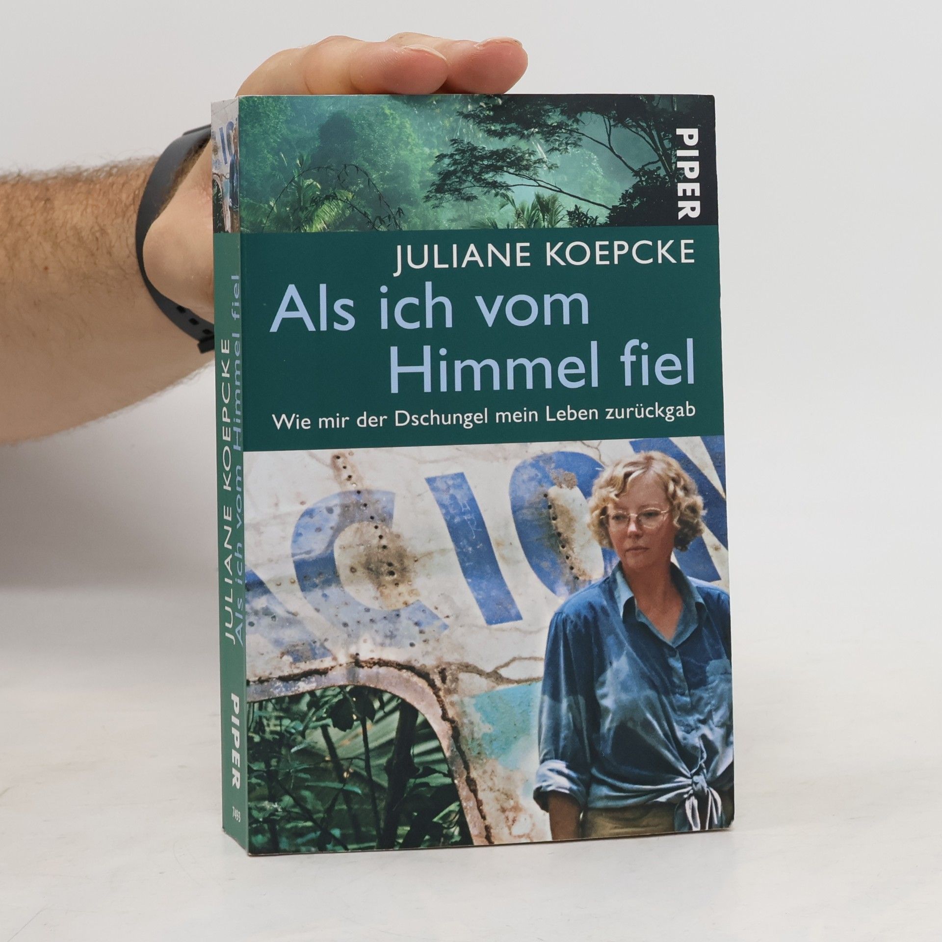 Juliane Diller Als ich vom Himmel fiel