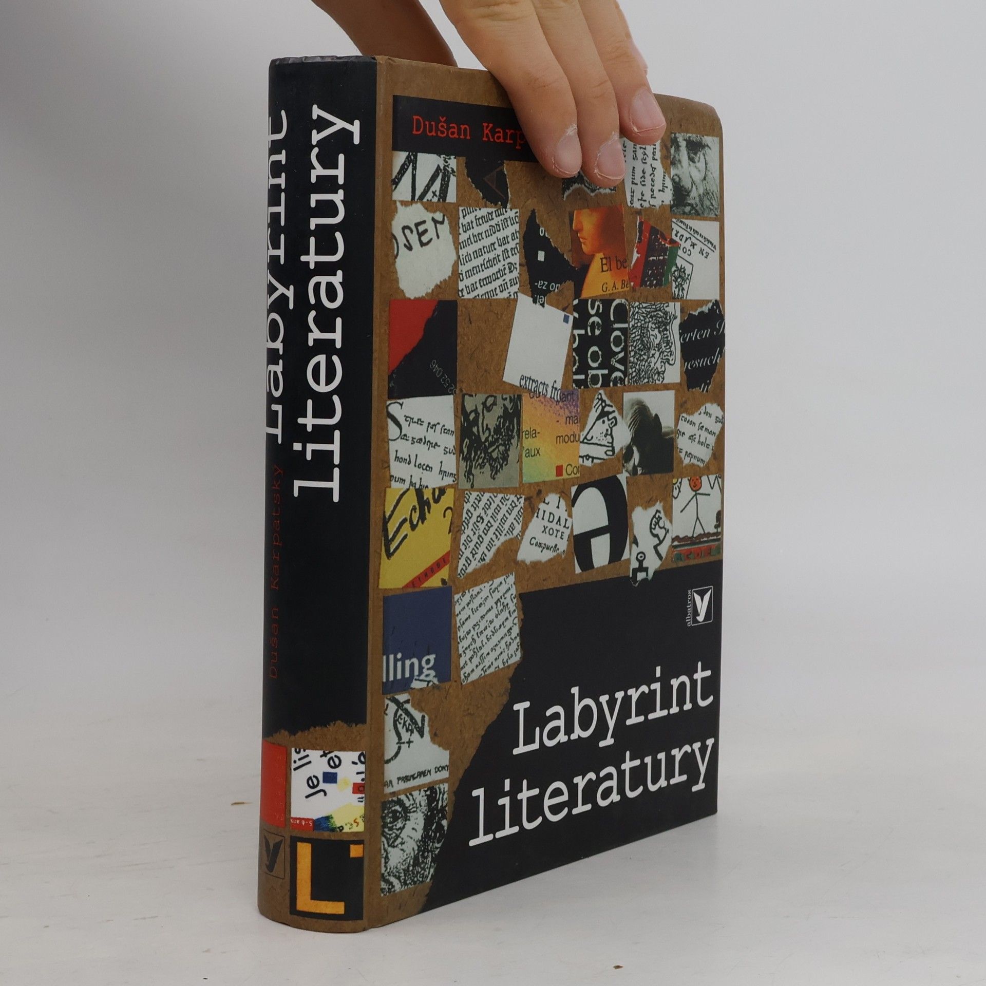 Dušan Karpatský Labyrint literatury
