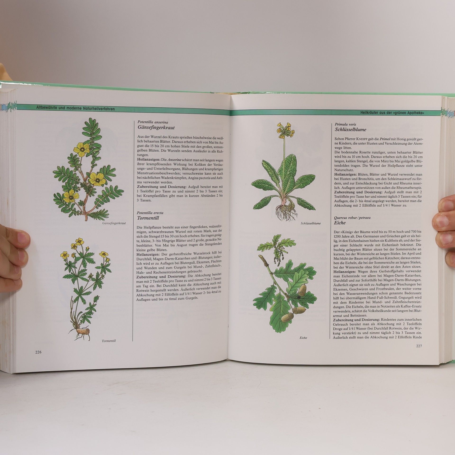 Gerhard Leibold Das grosse Hausbuch der Naturheilkunde