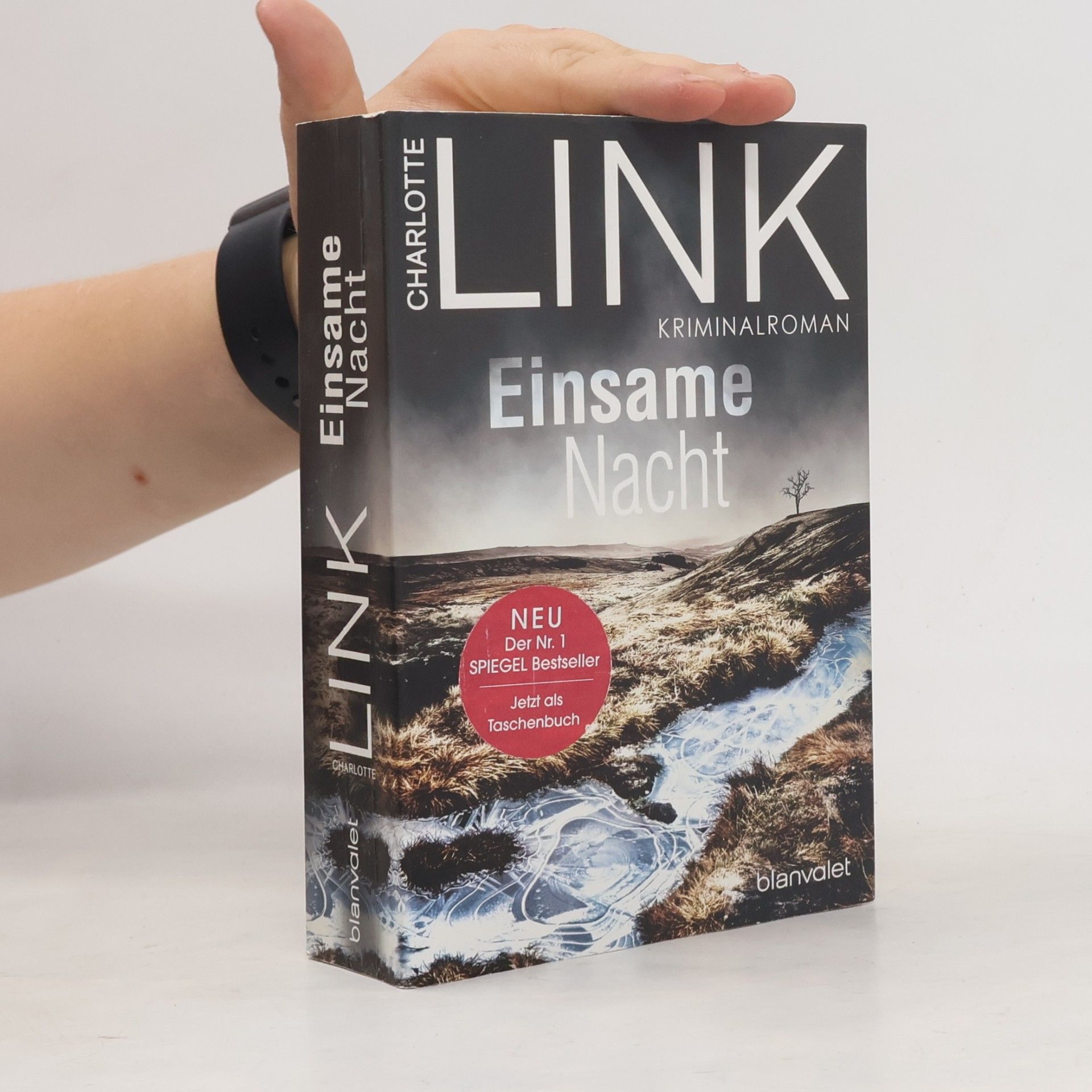 Charlotte Link Einsame Nacht