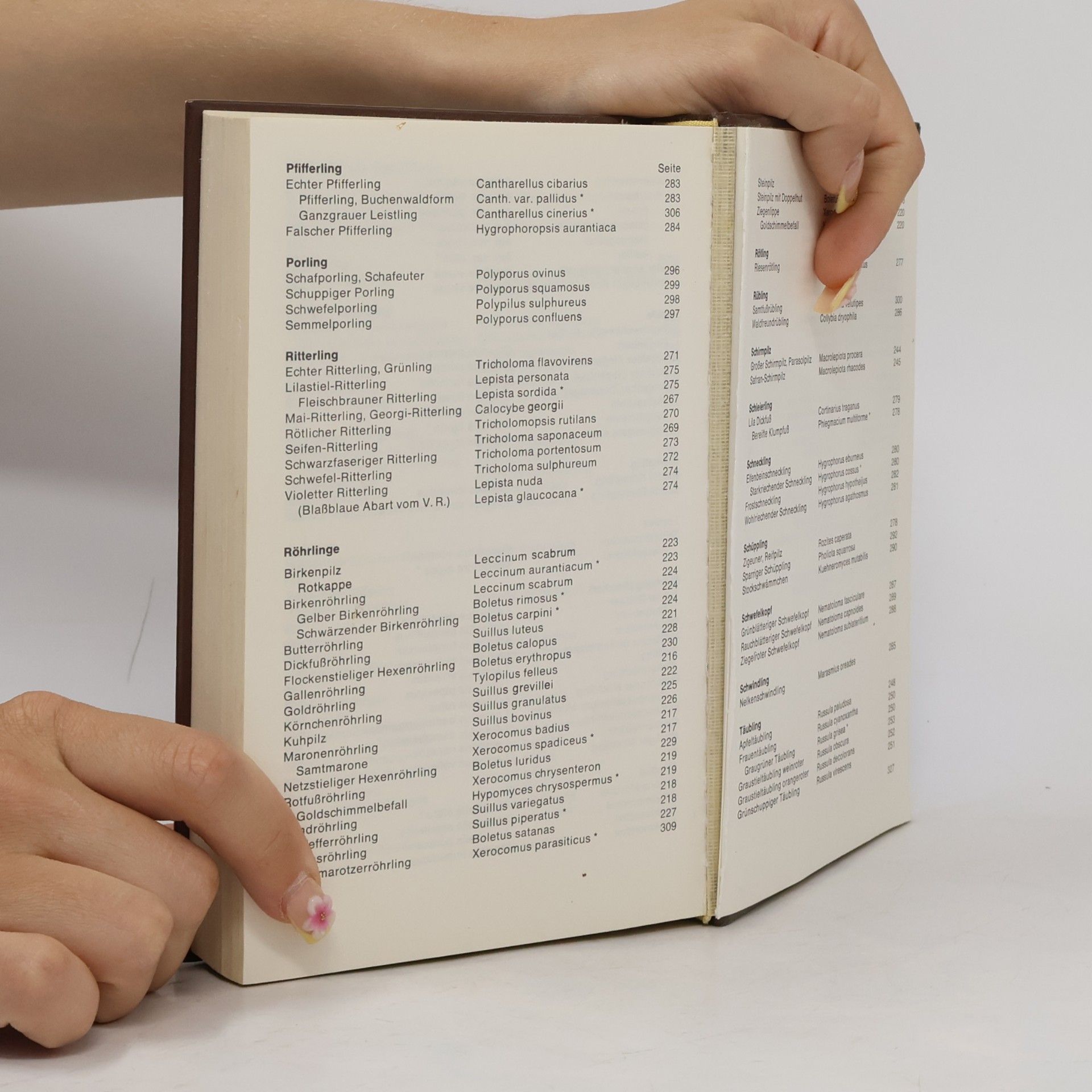 Various authors Kräuter und Pilze